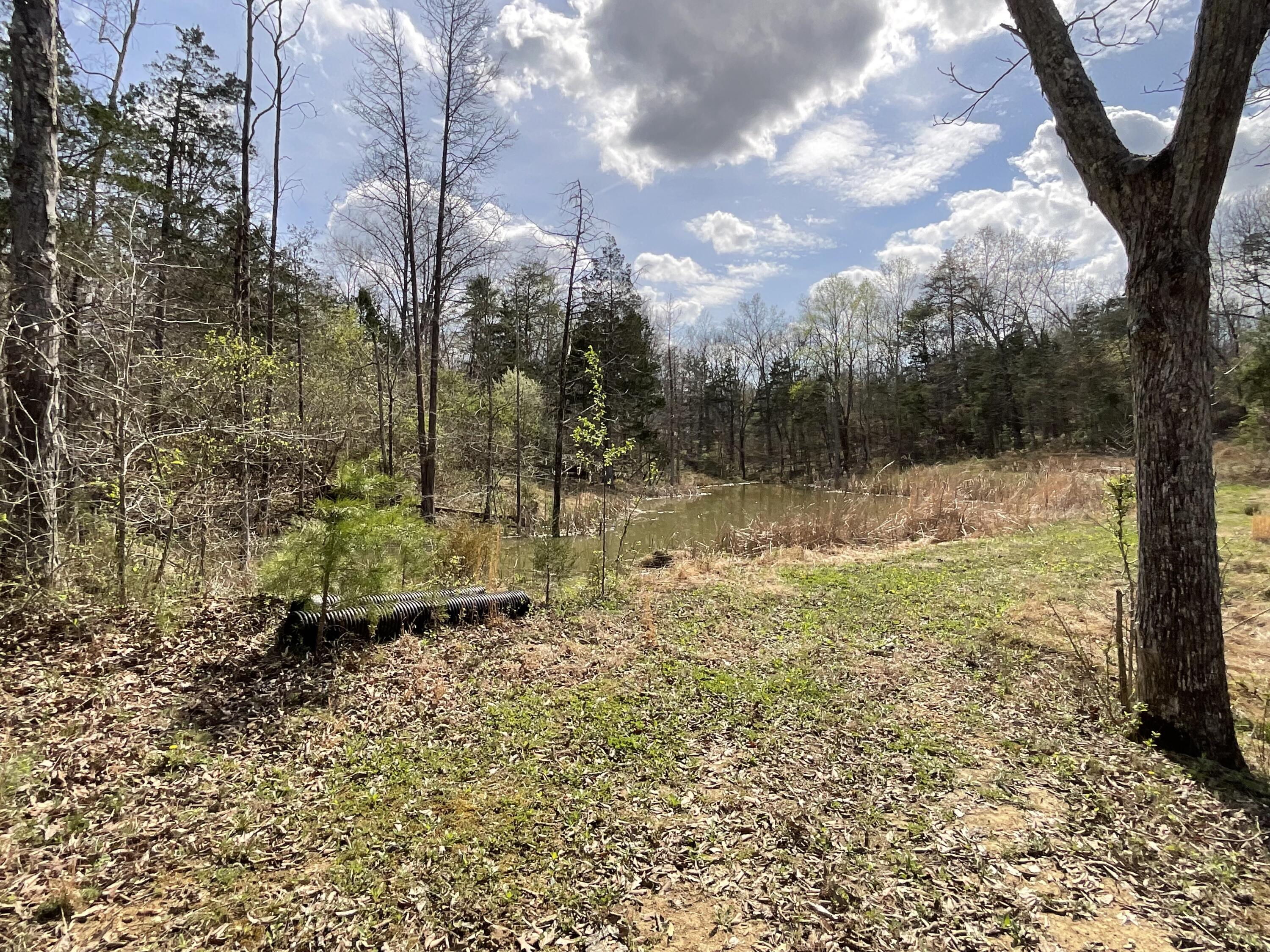 281 Adams Road Property Photo 57