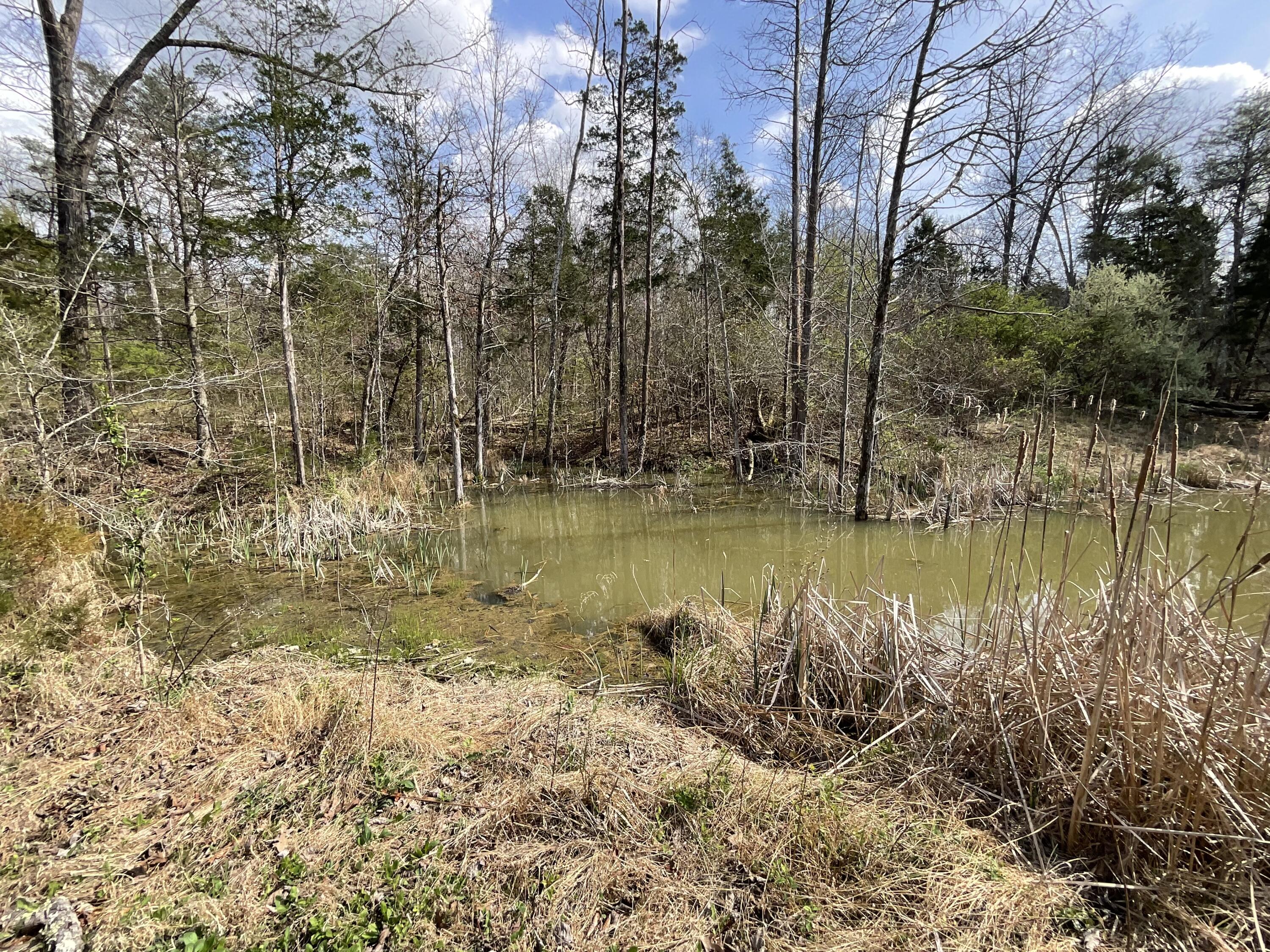 281 Adams Road Property Photo 60