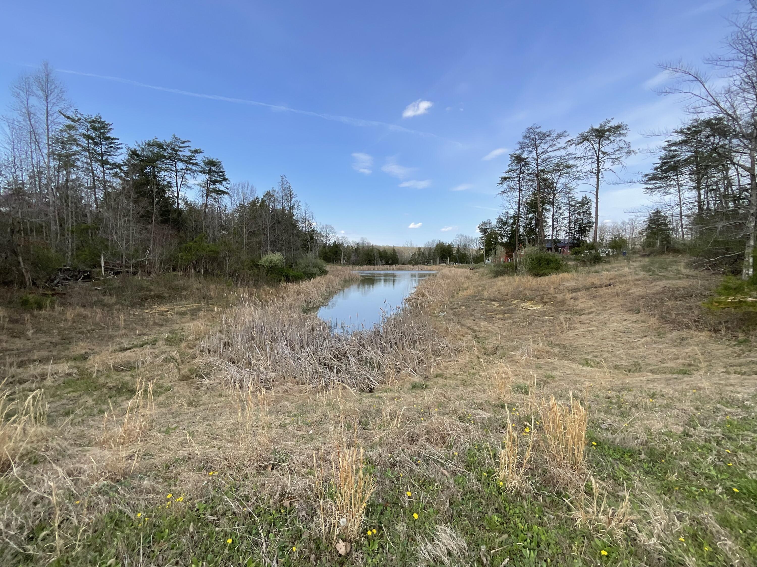 281 Adams Road Property Photo 61
