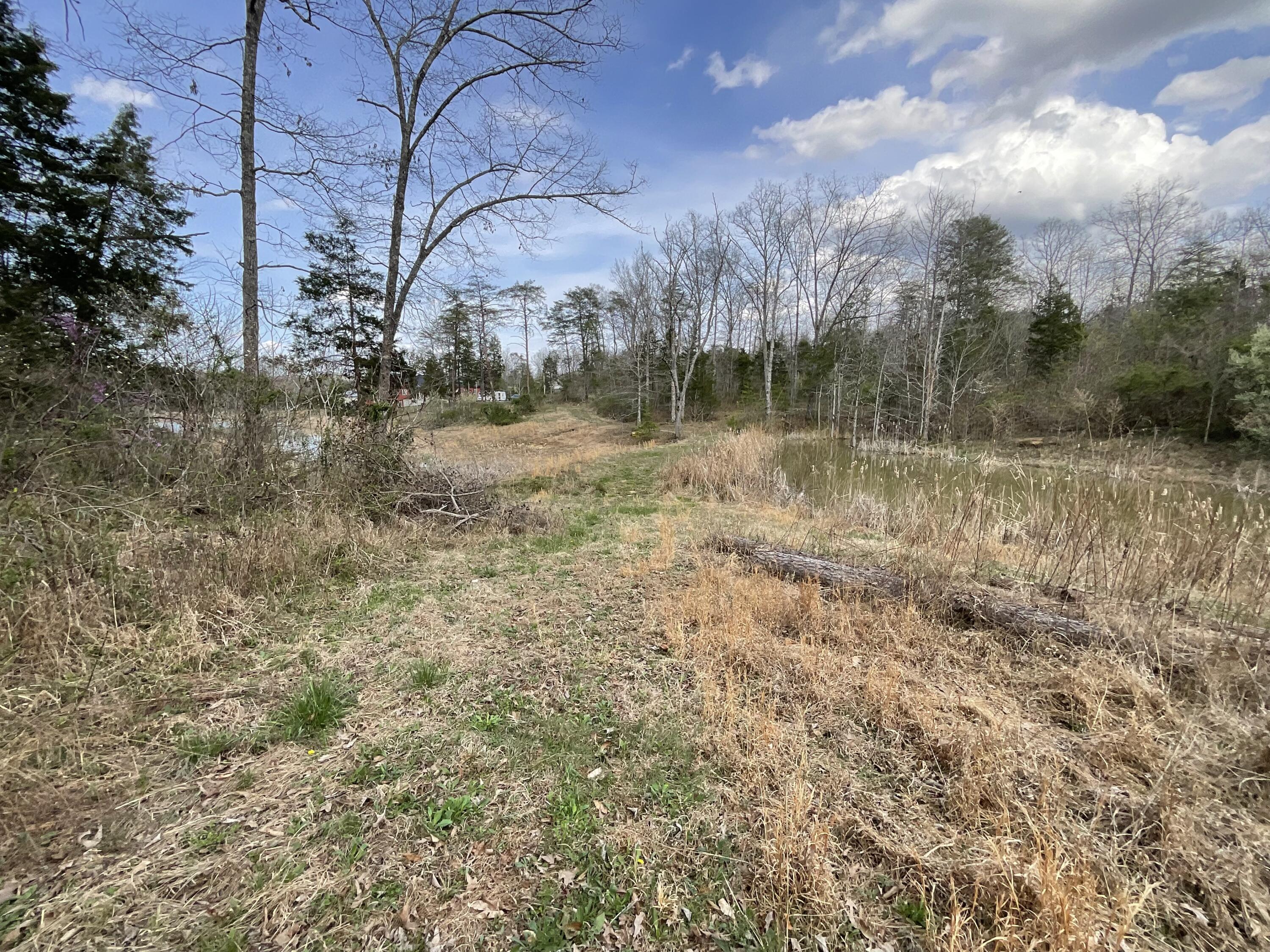 281 Adams Road Property Photo 62