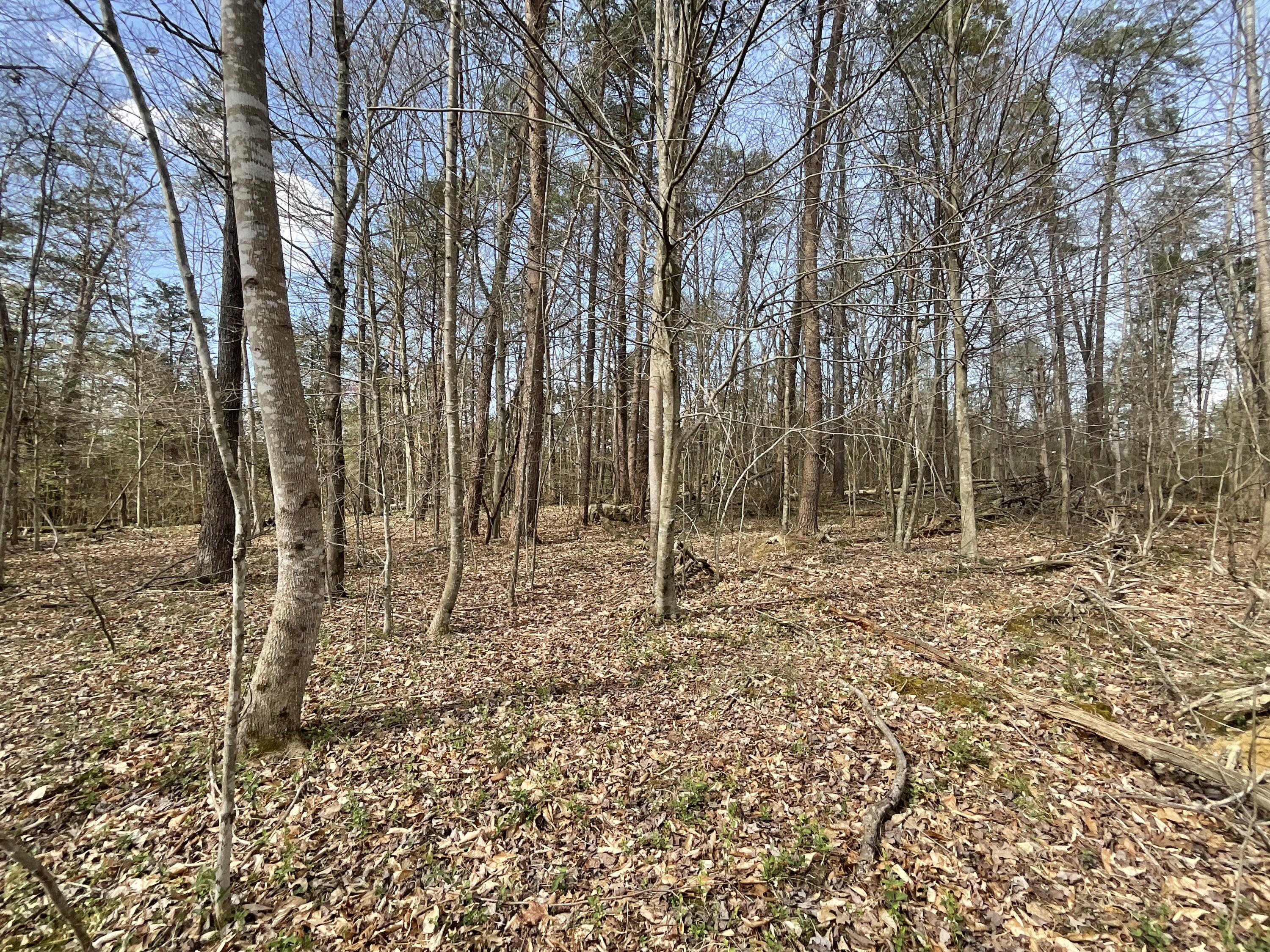 281 Adams Road Property Photo 63