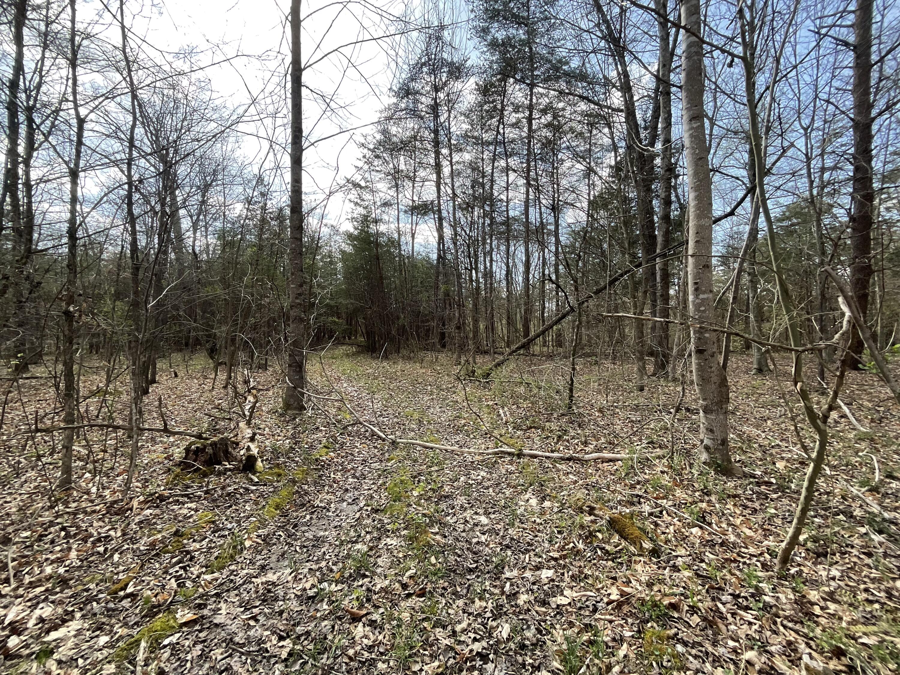 281 Adams Road Property Photo 64