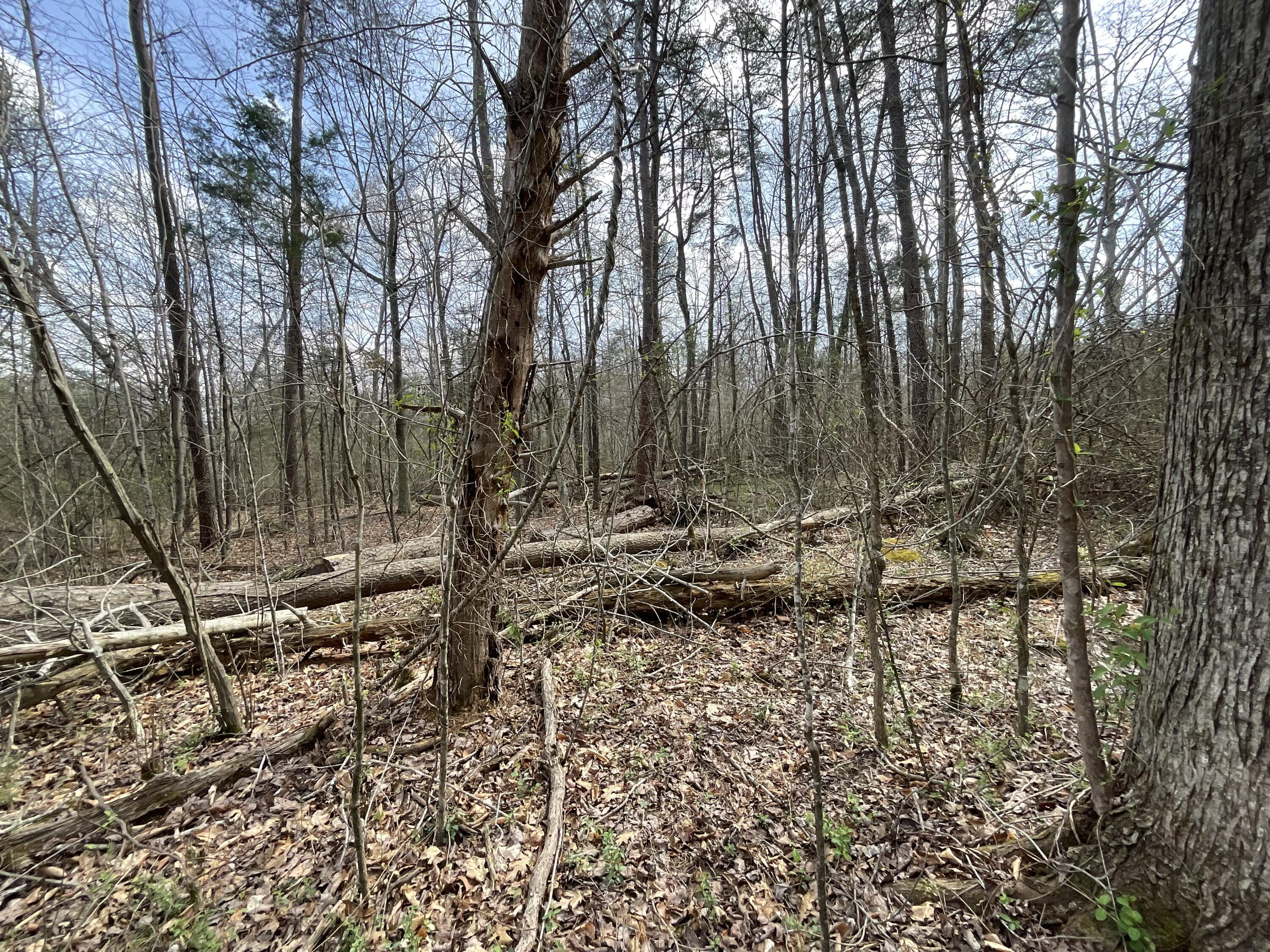 281 Adams Road Property Photo 65