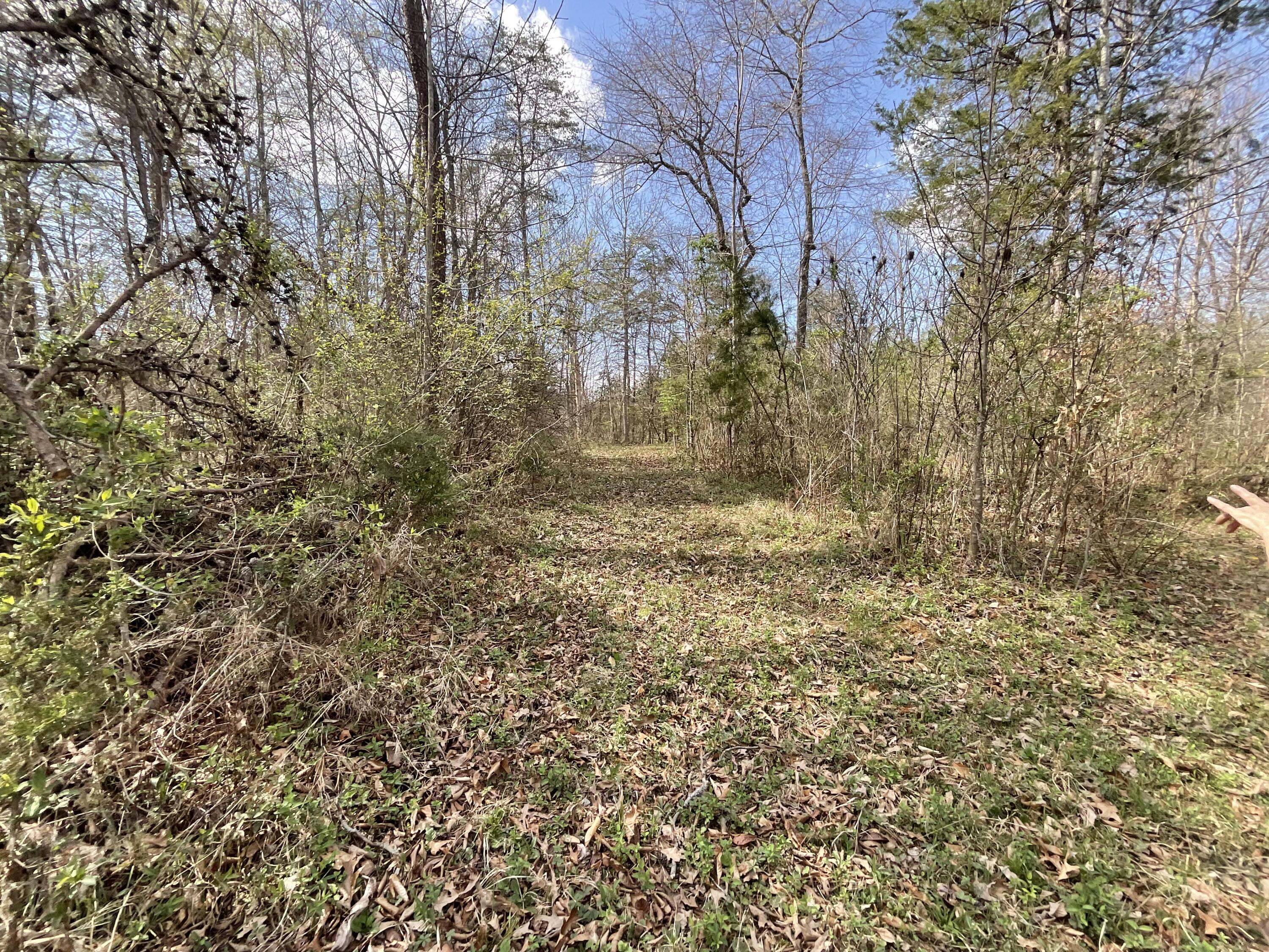 281 Adams Road Property Photo 66