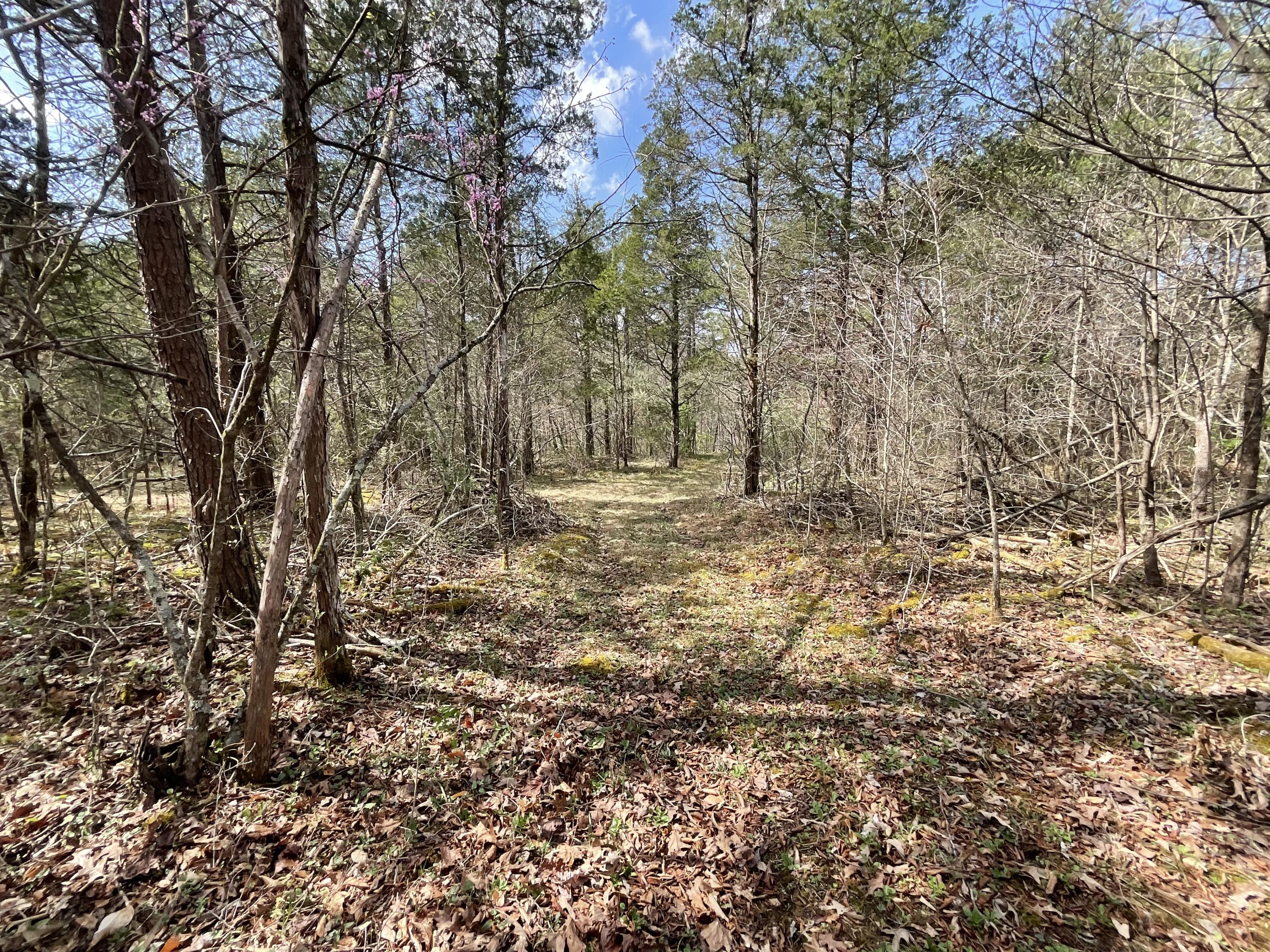 281 Adams Road Property Photo 67