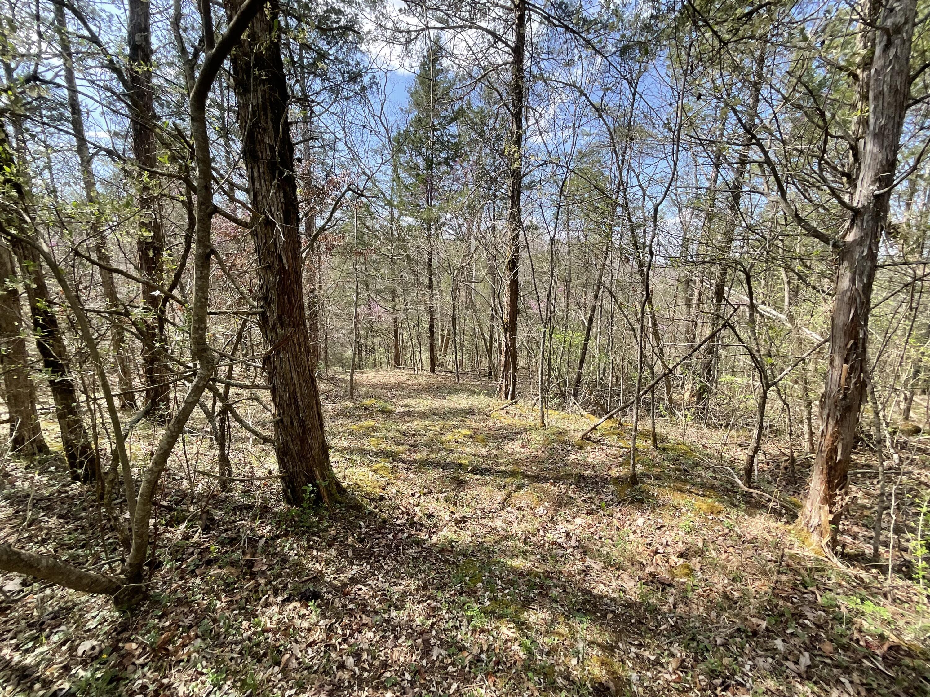 281 Adams Road Property Photo 68