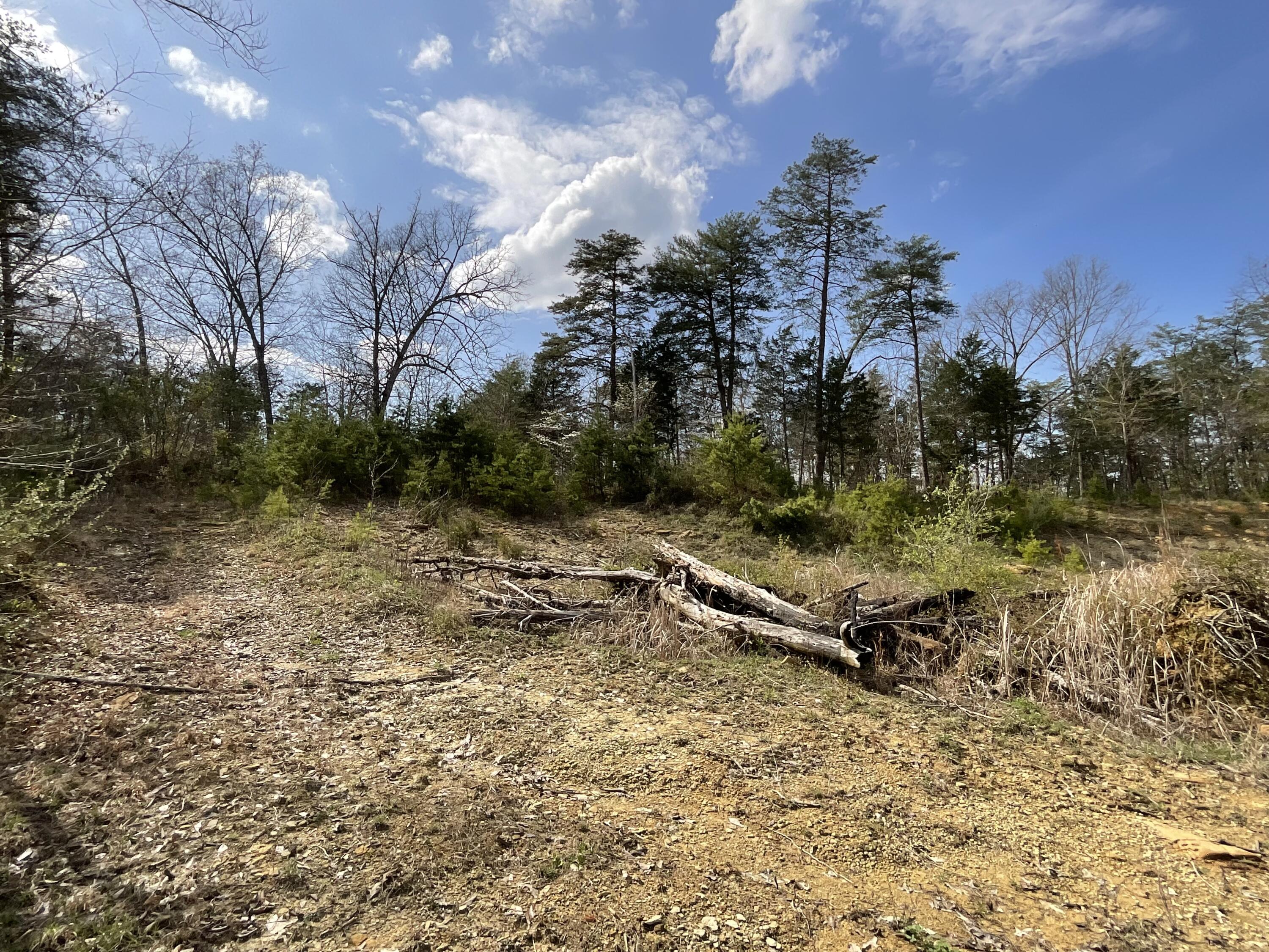 281 Adams Road Property Photo 70