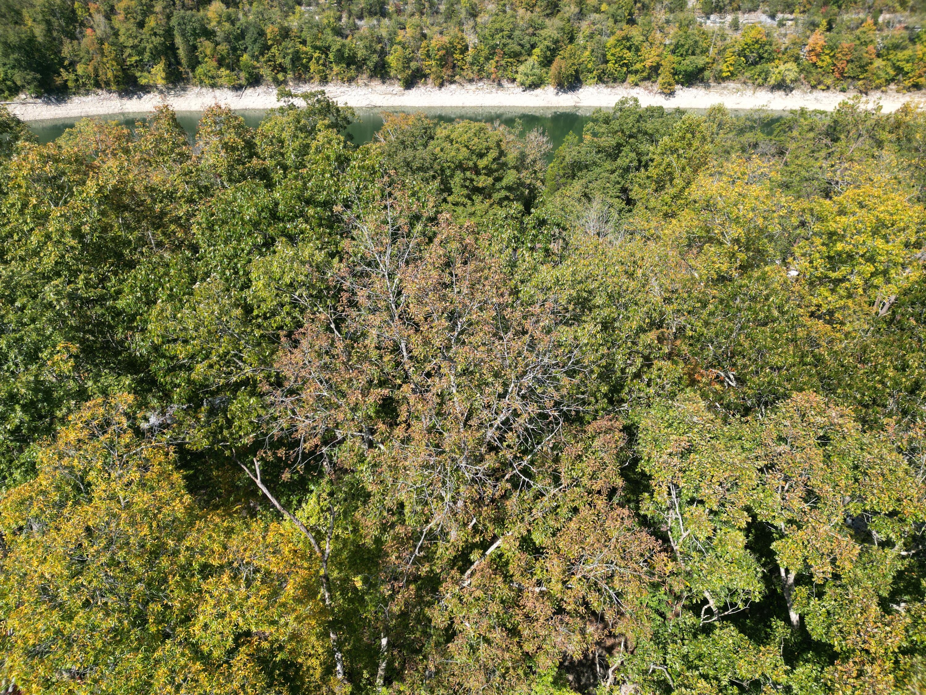 460 N Lake Drive Property Photo 36