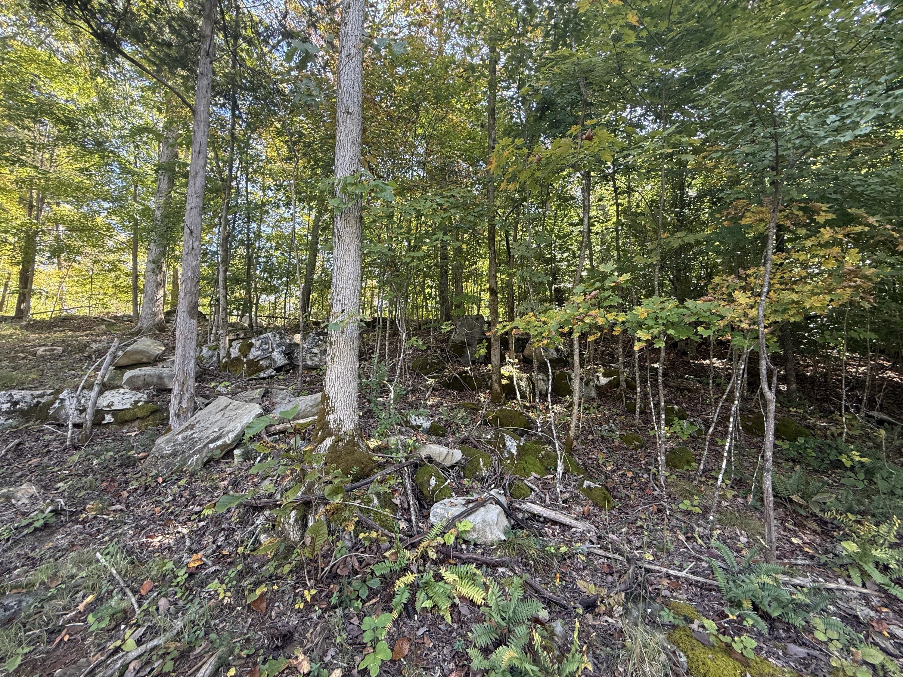 460 N Lake Drive Property Photo 37