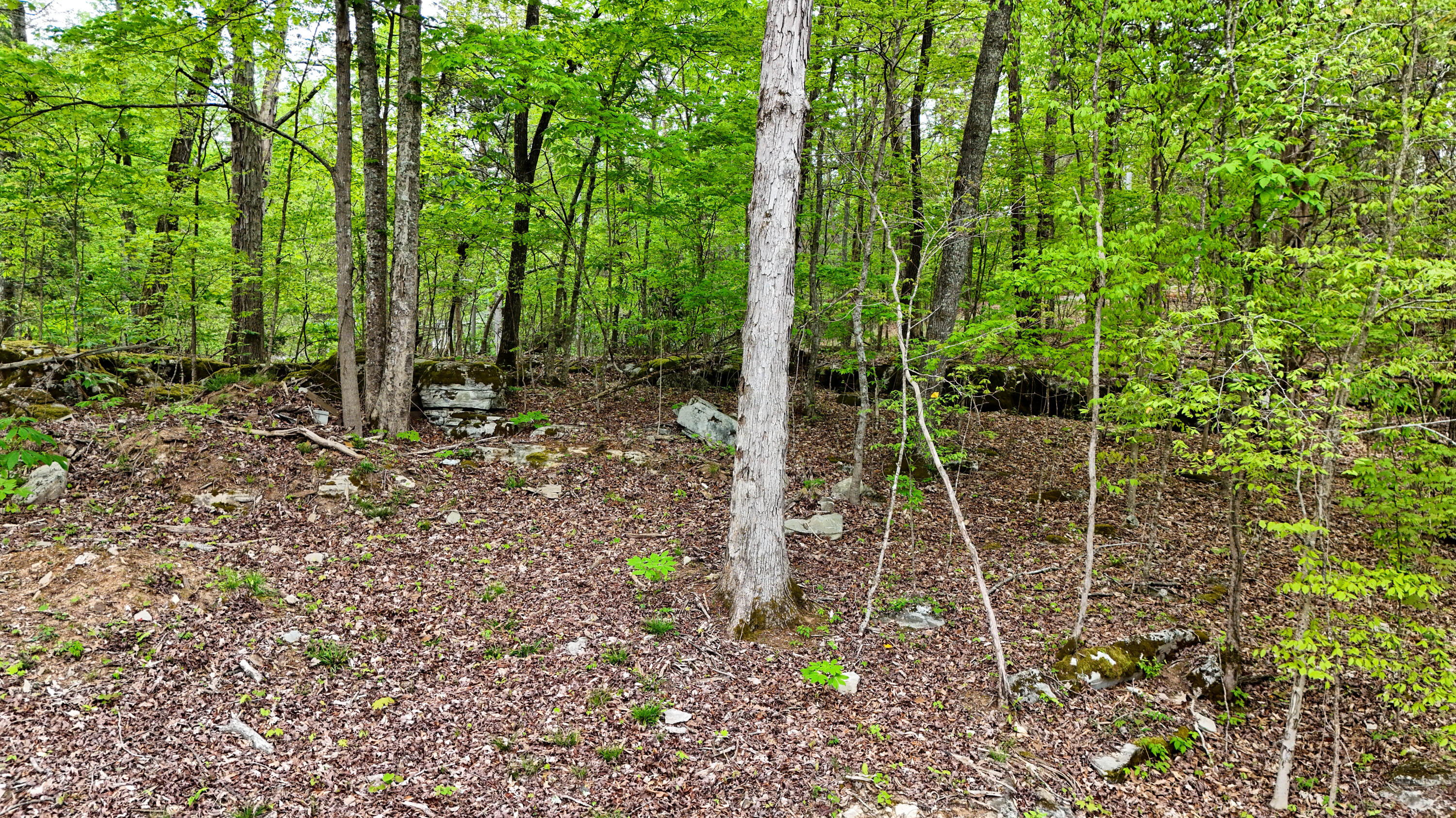 460 N Lake Drive Property Photo 38
