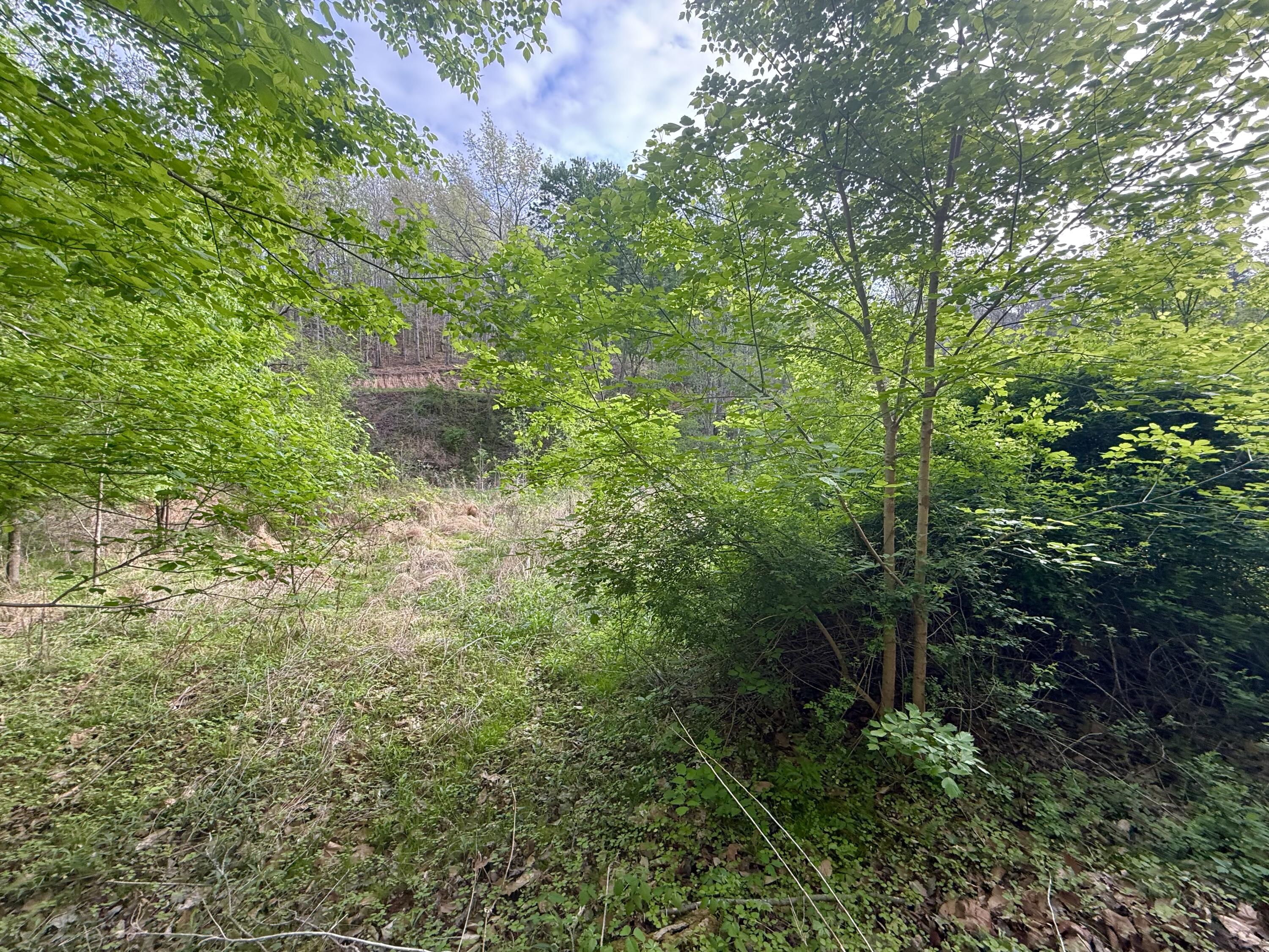 99999 Walling Road Property Photo 4