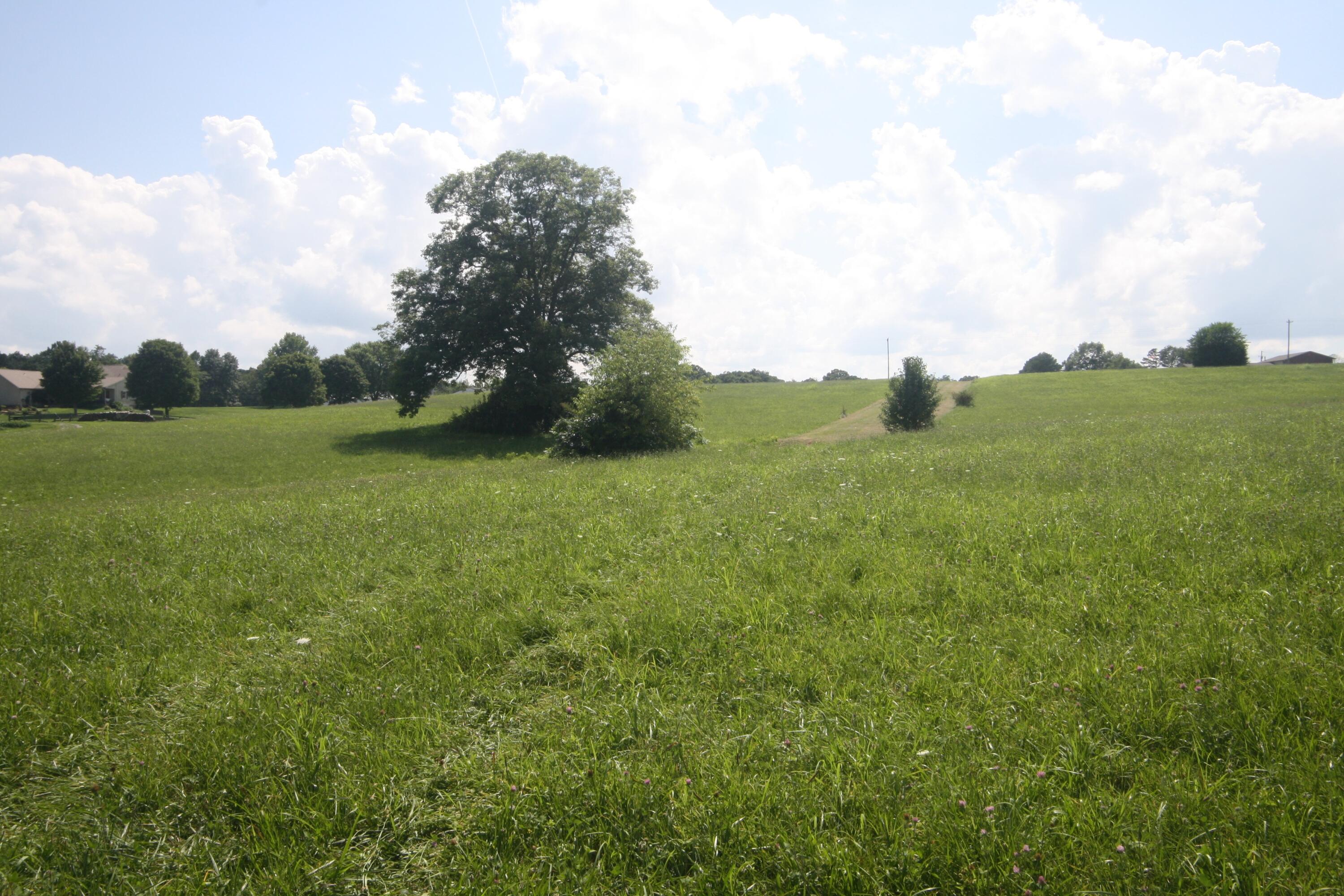 5 S State Highway 290 Property Photo 9