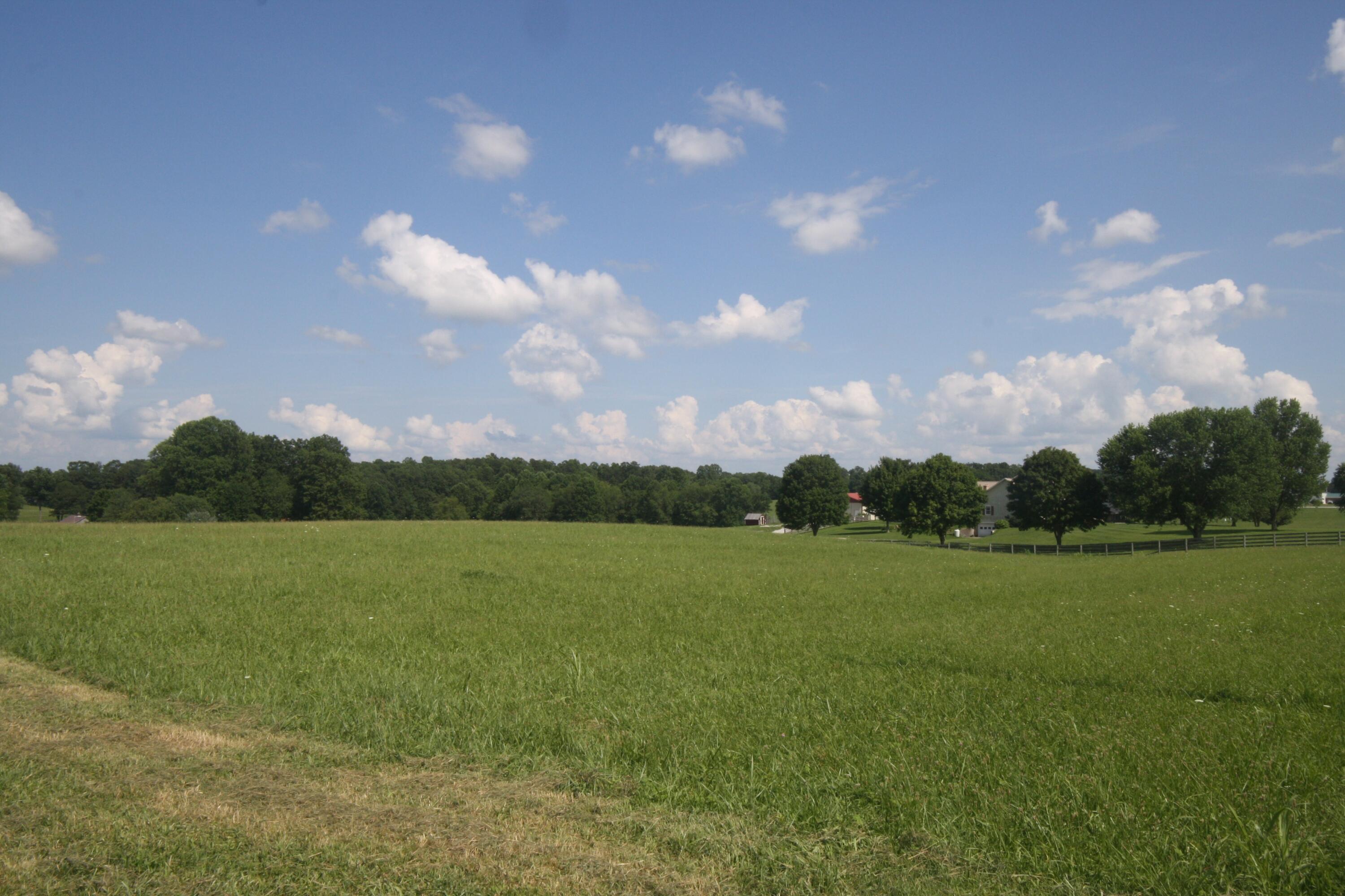 5 S State Highway 290 Property Photo 13