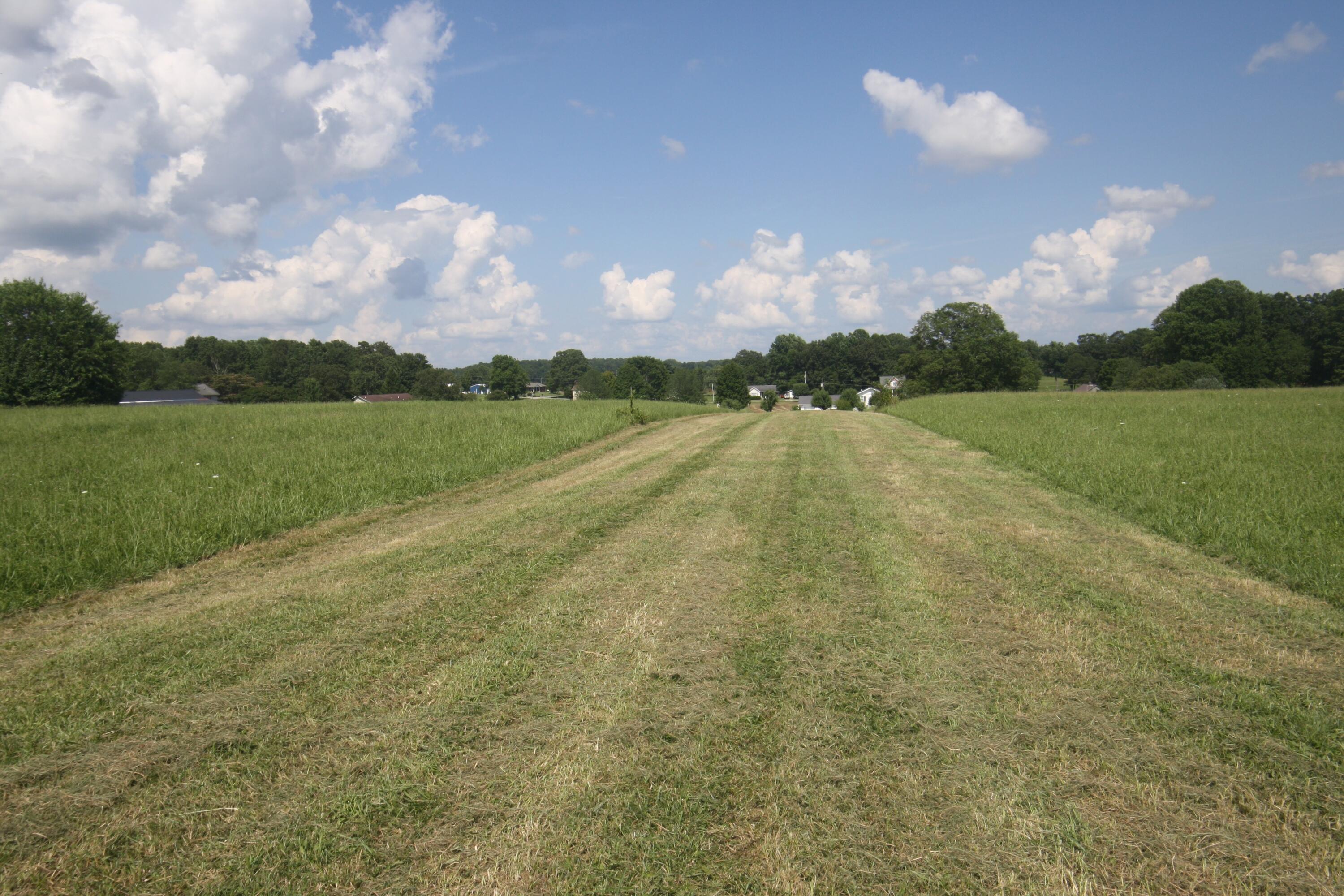 5 S State Highway 290 Property Photo 14