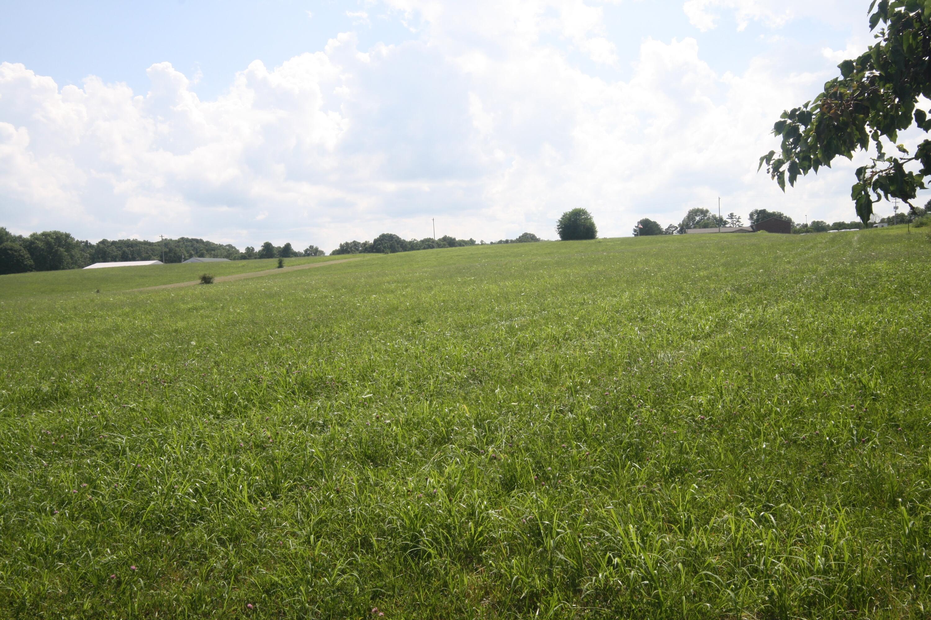 6 S State Hwy 290 Property Photo 13