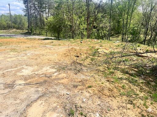 33 Old Beaver Loop Property Photo 4