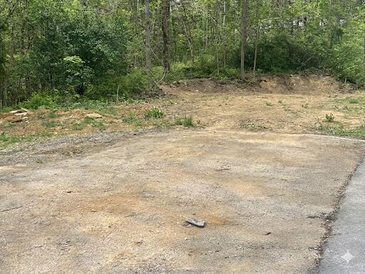33 Old Beaver Loop Property Photo 5
