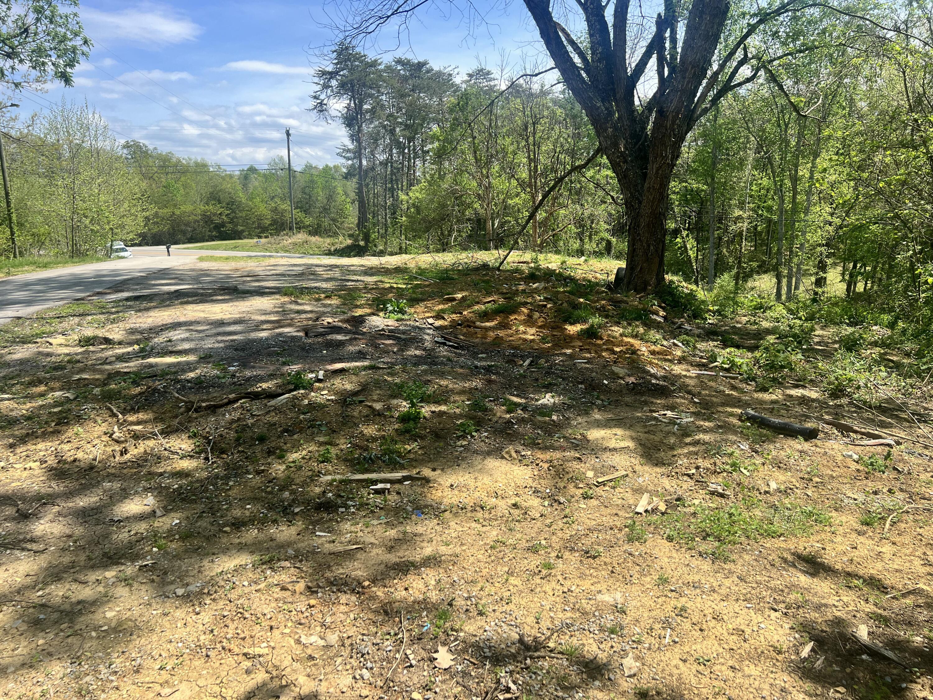 33 Old Beaver Loop Property Photo 6