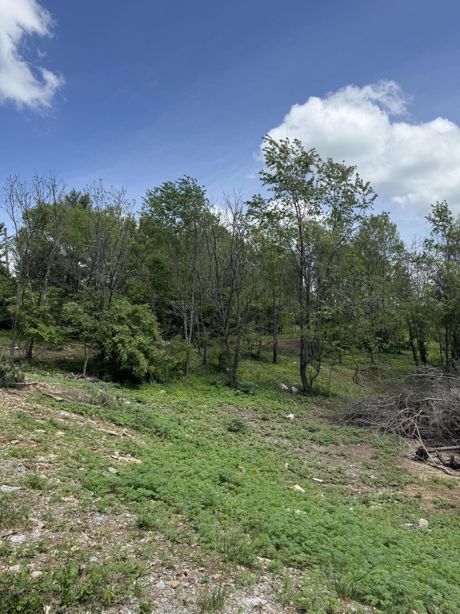 Lot - East Drive Property Photo 6