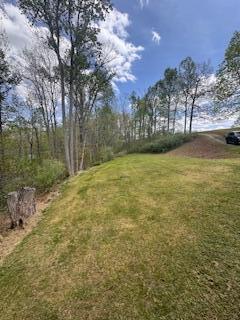 196 Cottonwood Road Property Photo 12