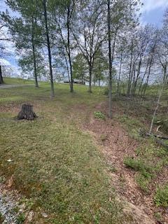 196 Cottonwood Road Property Photo 13