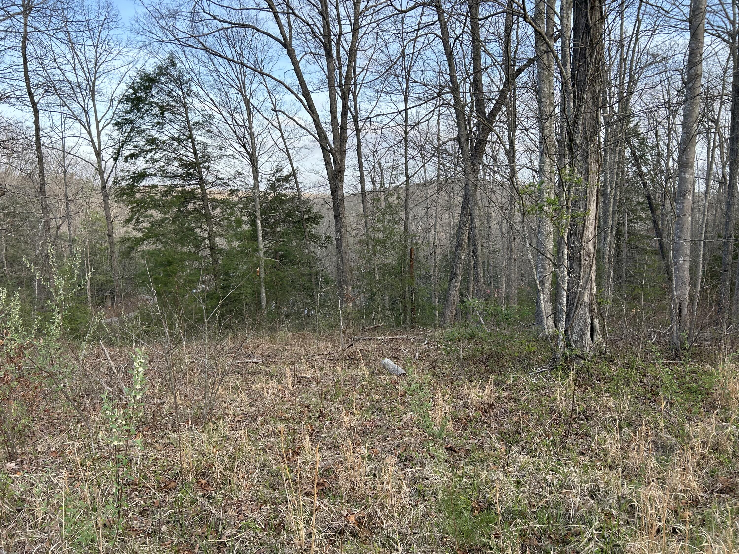0000 State Highway 674 Property Photo 3