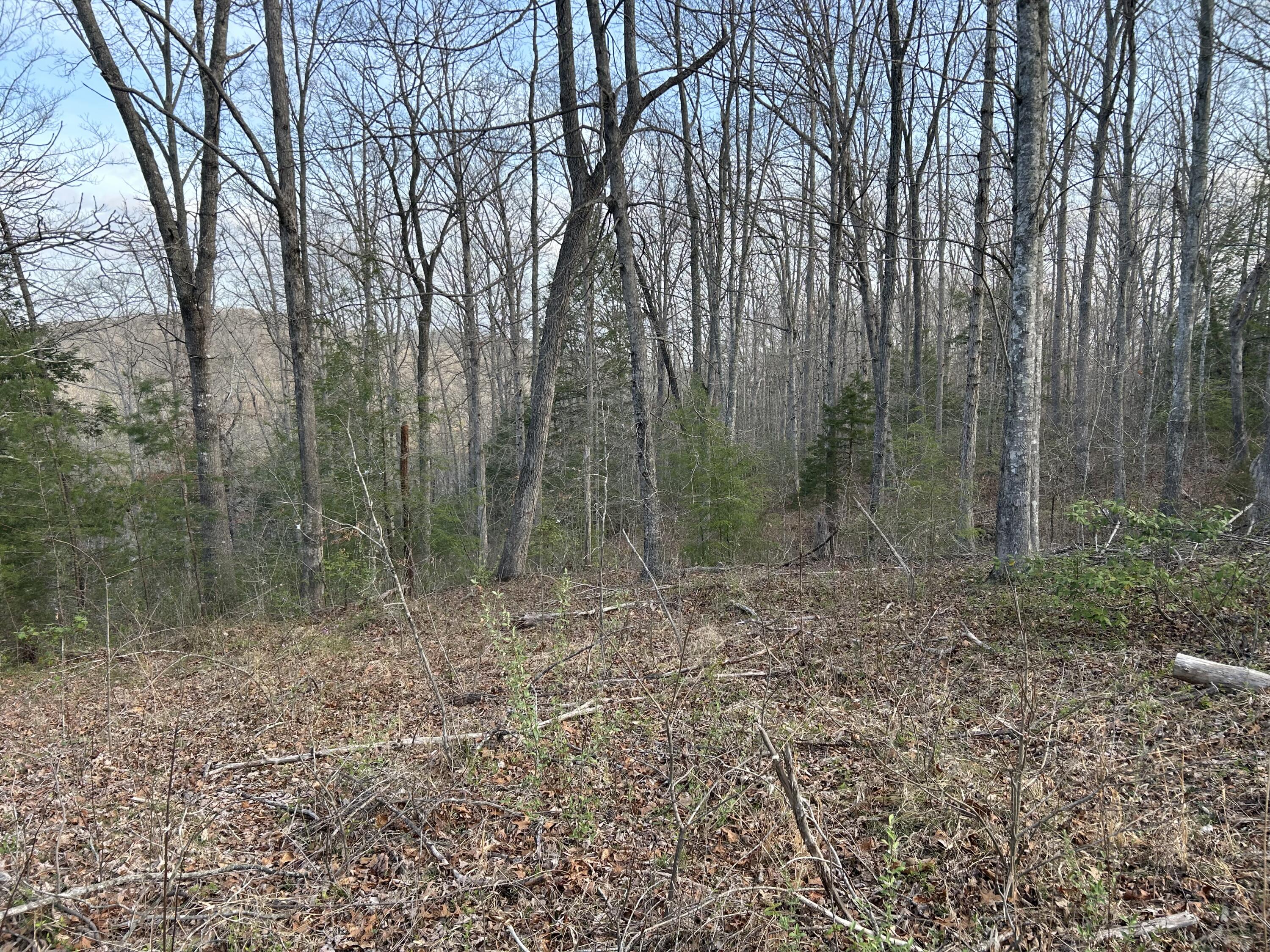 0000 State Highway 674 Property Photo 5