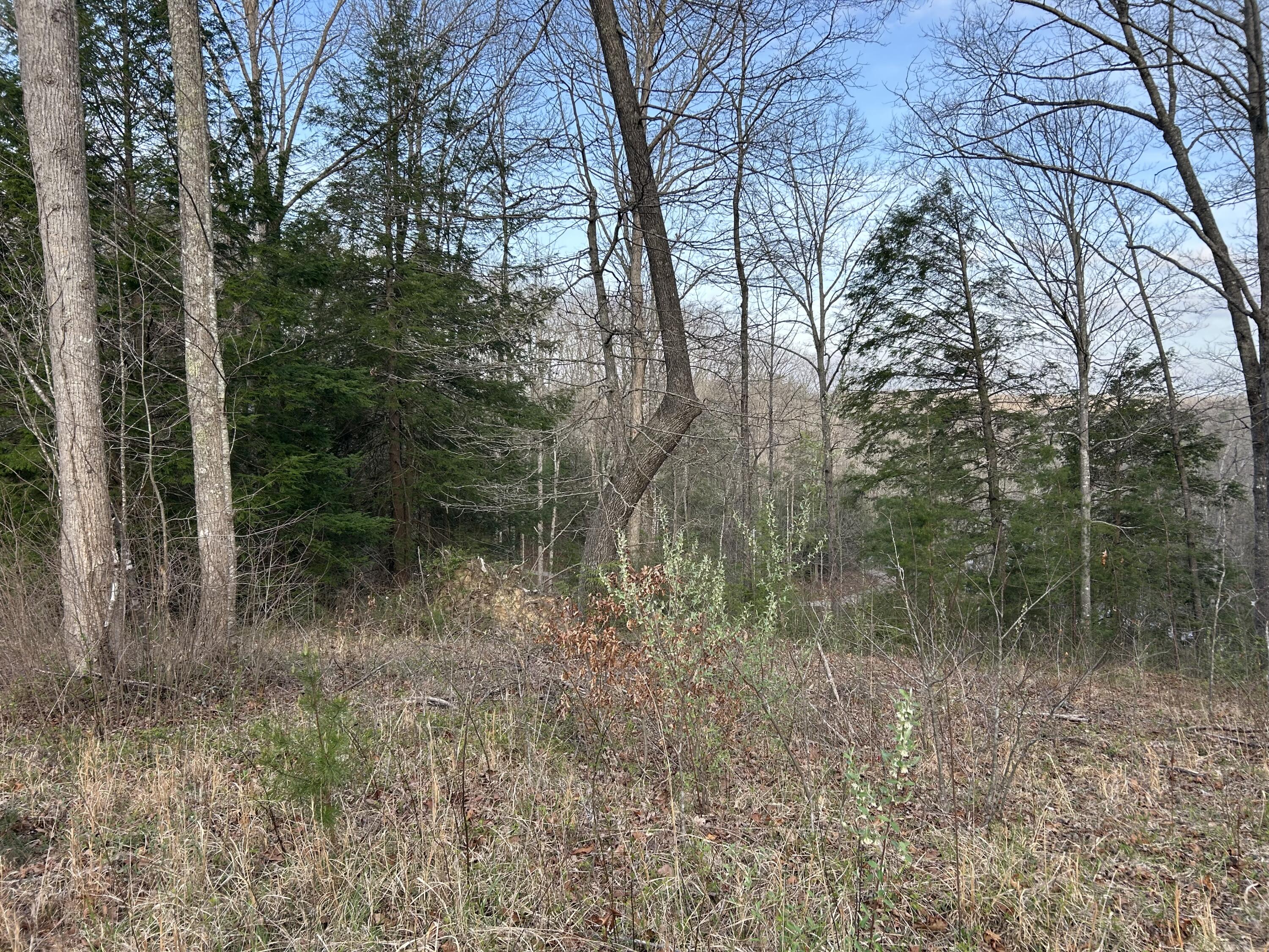 0000 State Highway 674 Property Photo 6