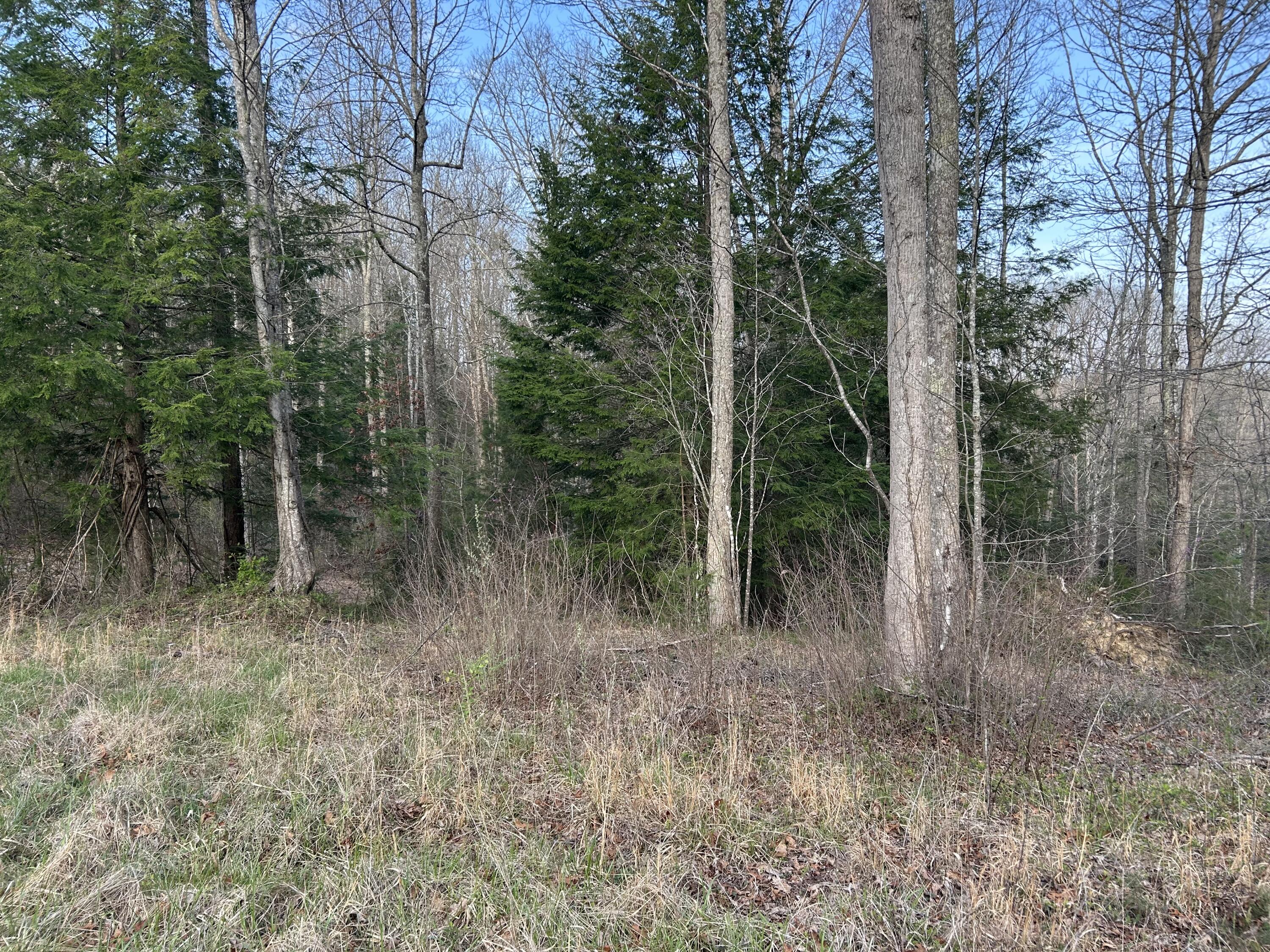 0000 State Highway 674 Property Photo 7