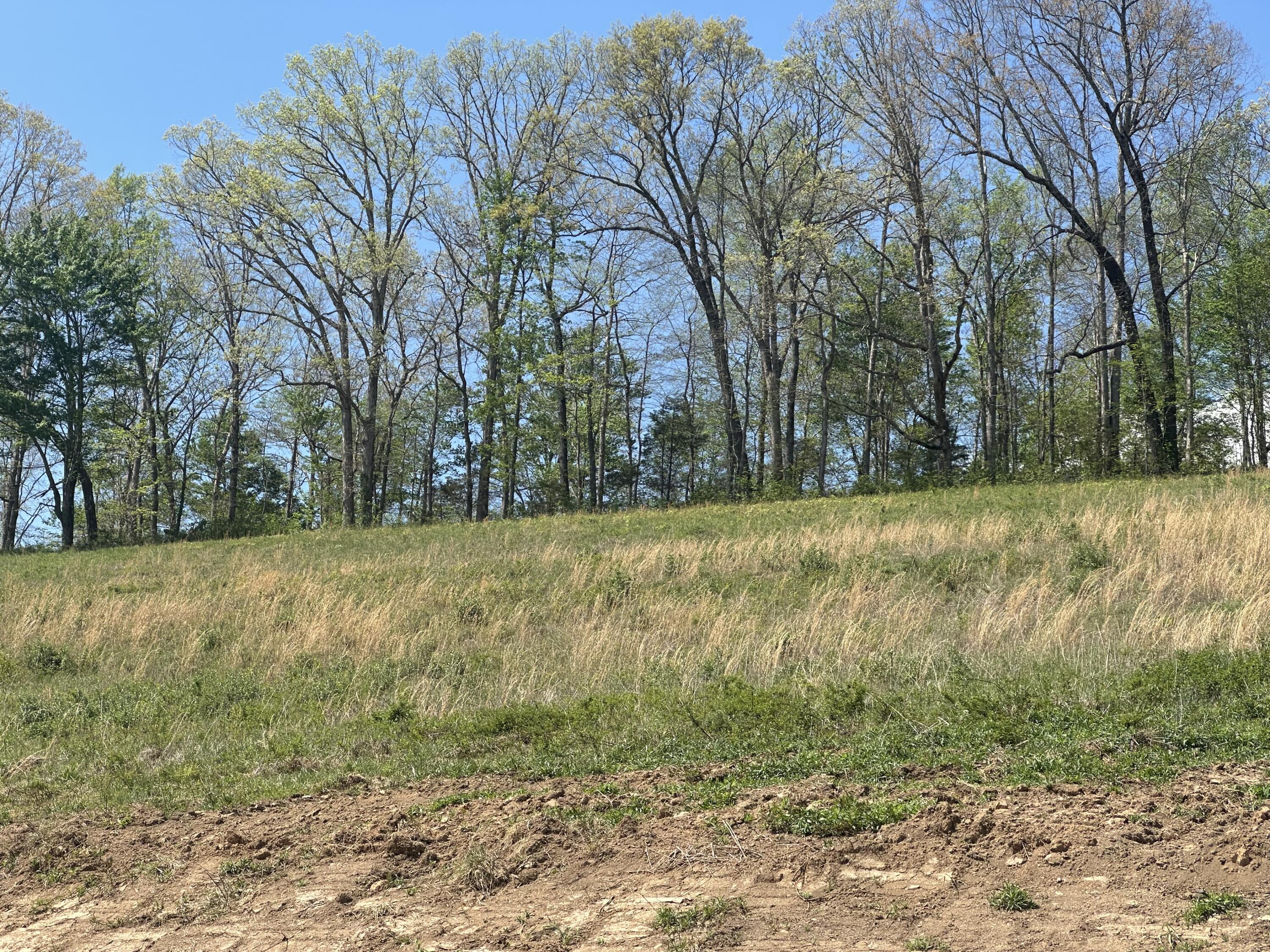 148 Coon Trail Tract 7 Property Photo 5