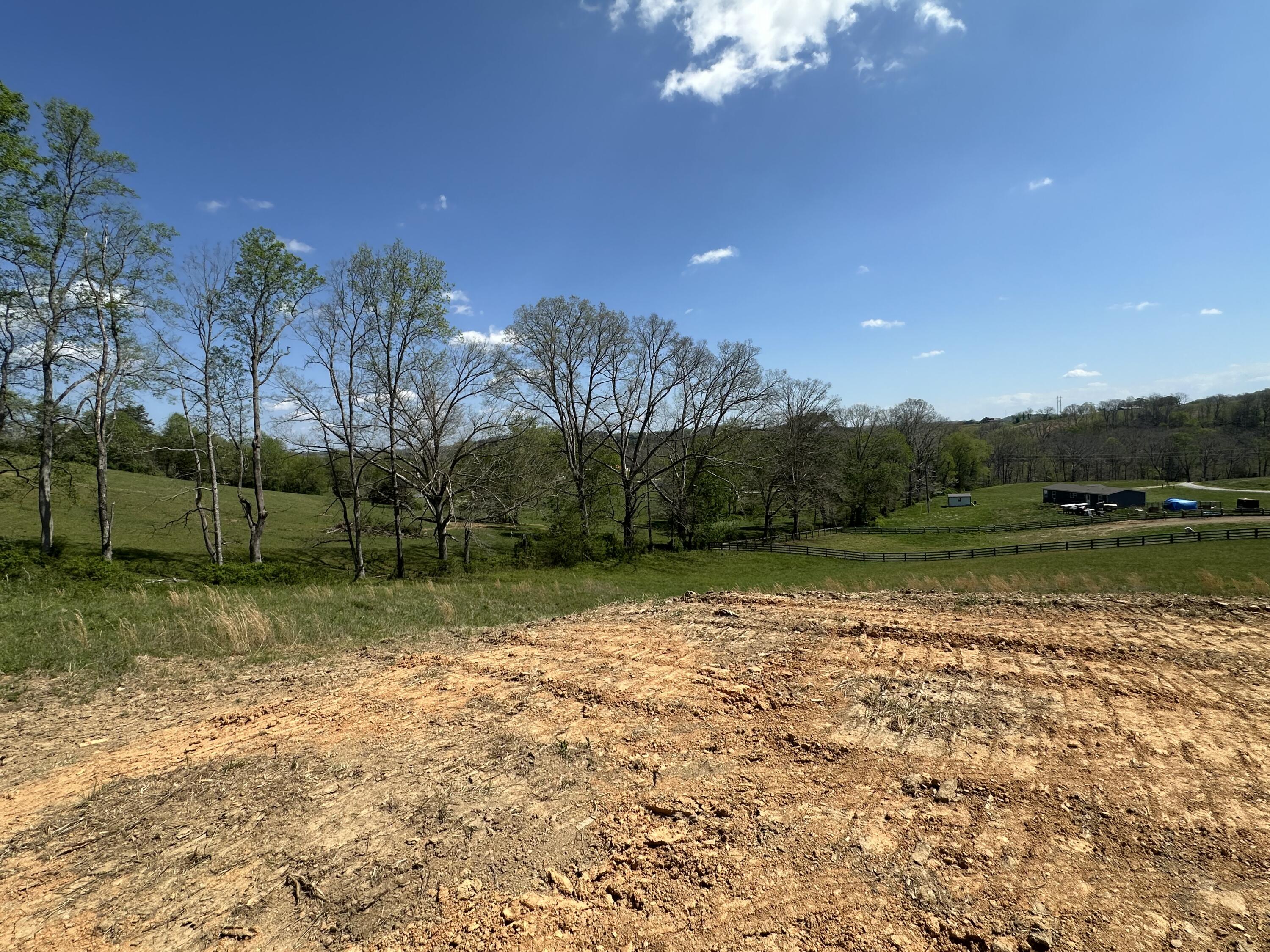 136 Coon Trail Tract 6 Property Photo 8
