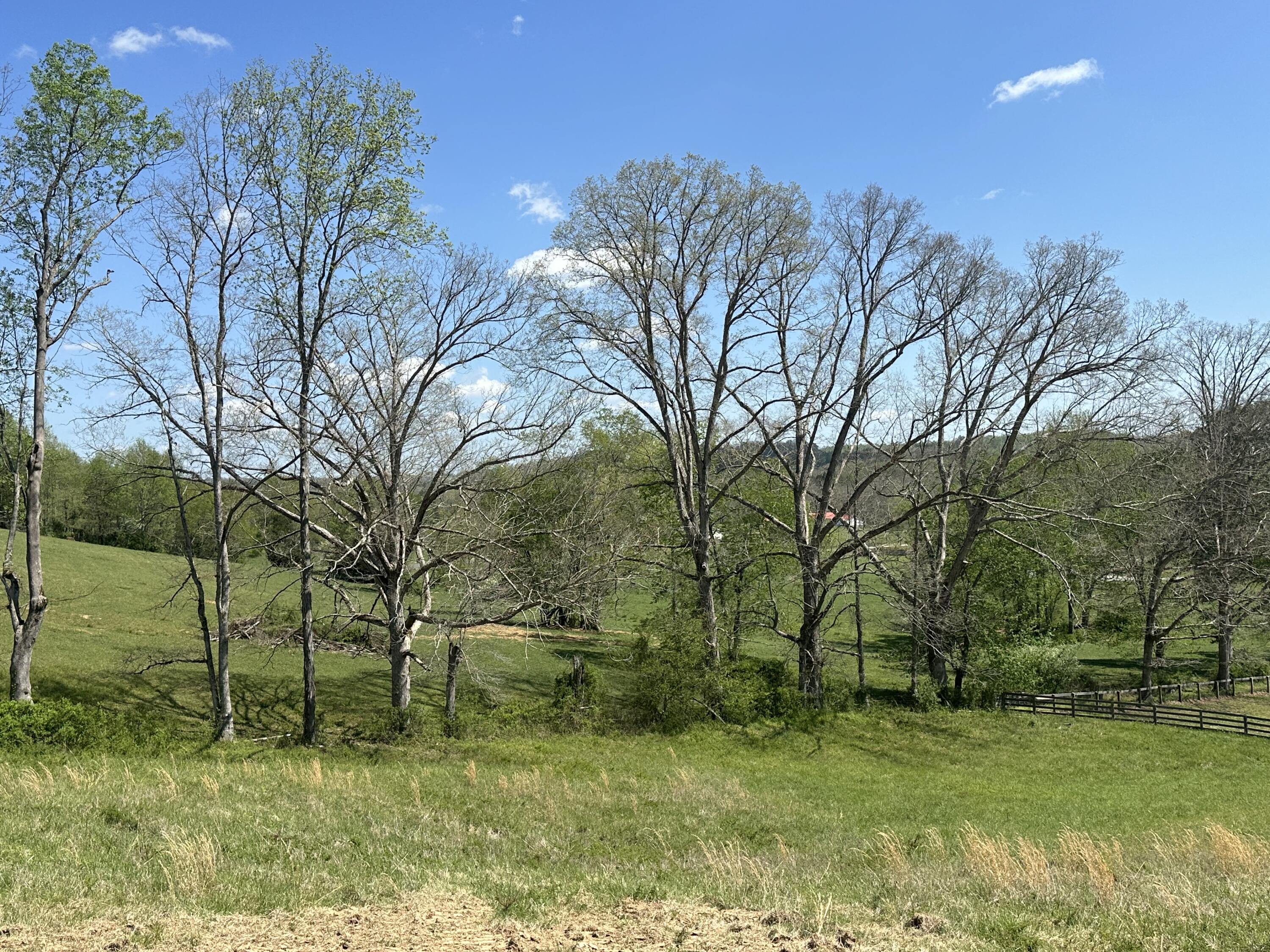 136 Coon Trail Tract 6 Property Photo 31