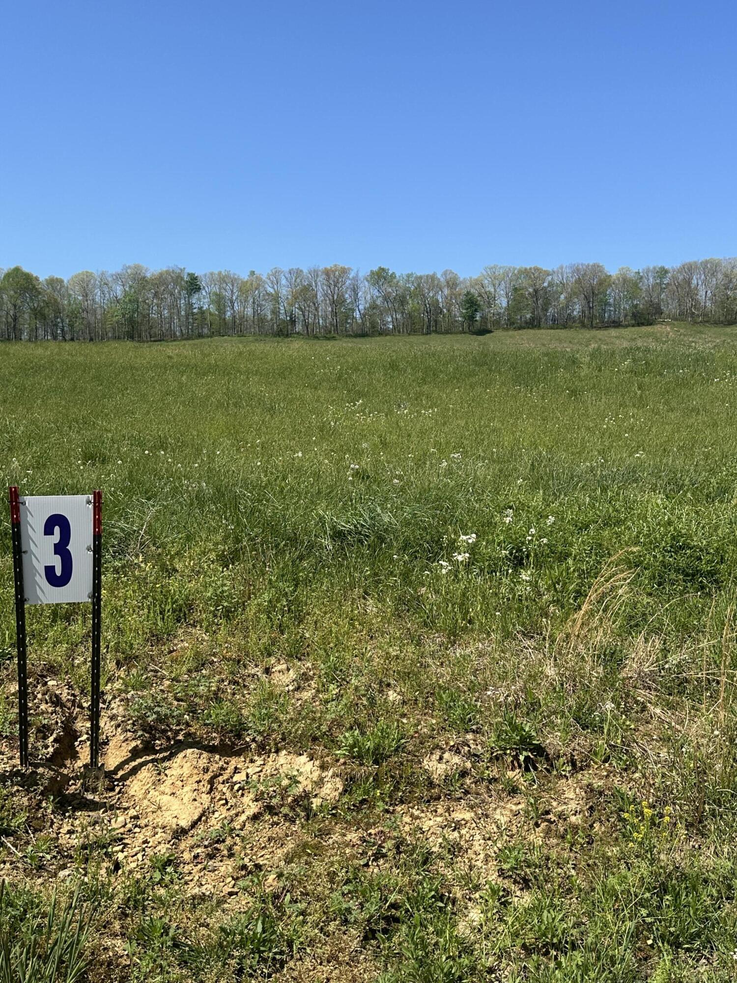 19 Coon Trail Tract 3 Property Photo 2
