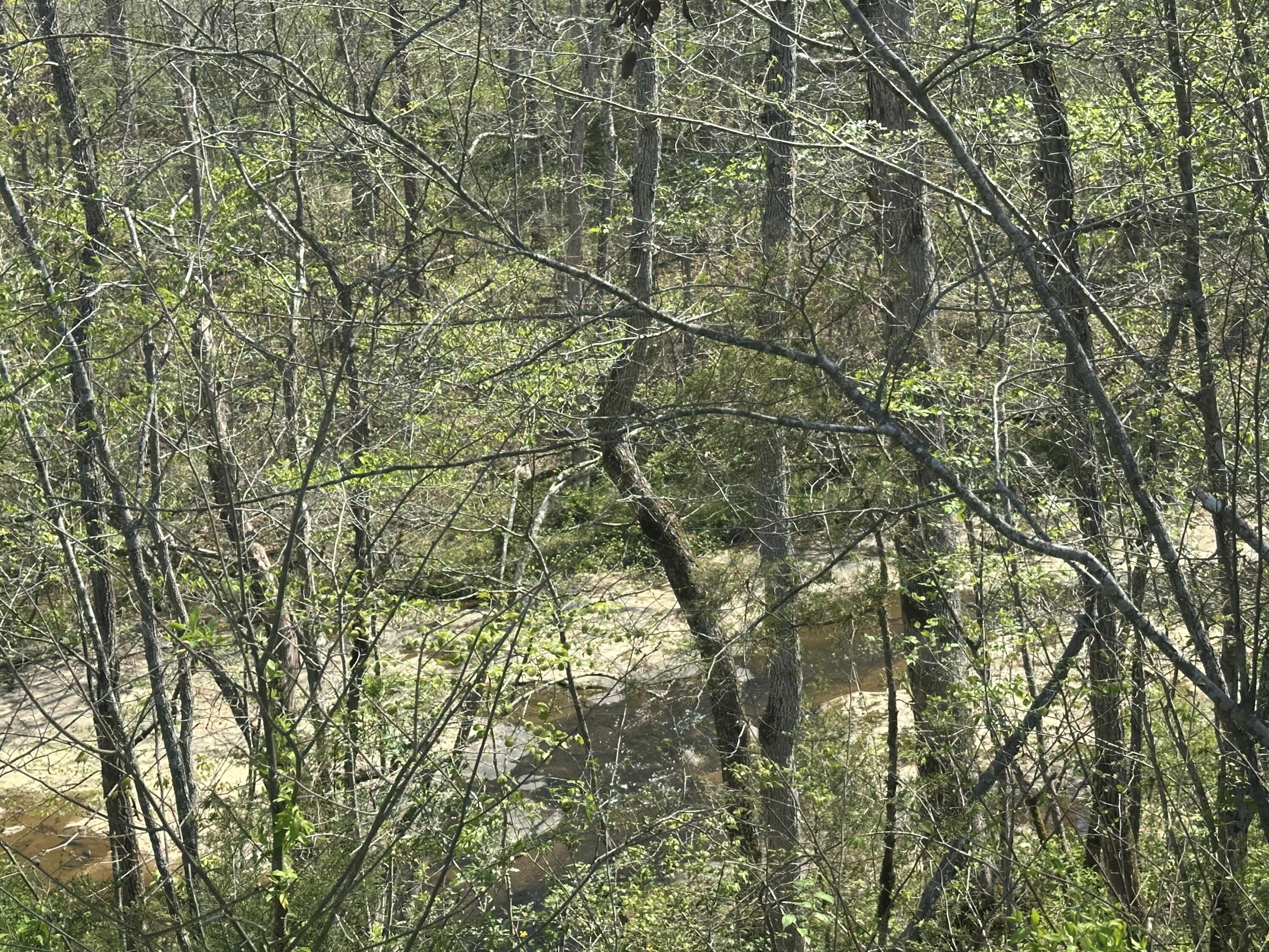 19 Coon Trail Tract 3 Property Photo 6