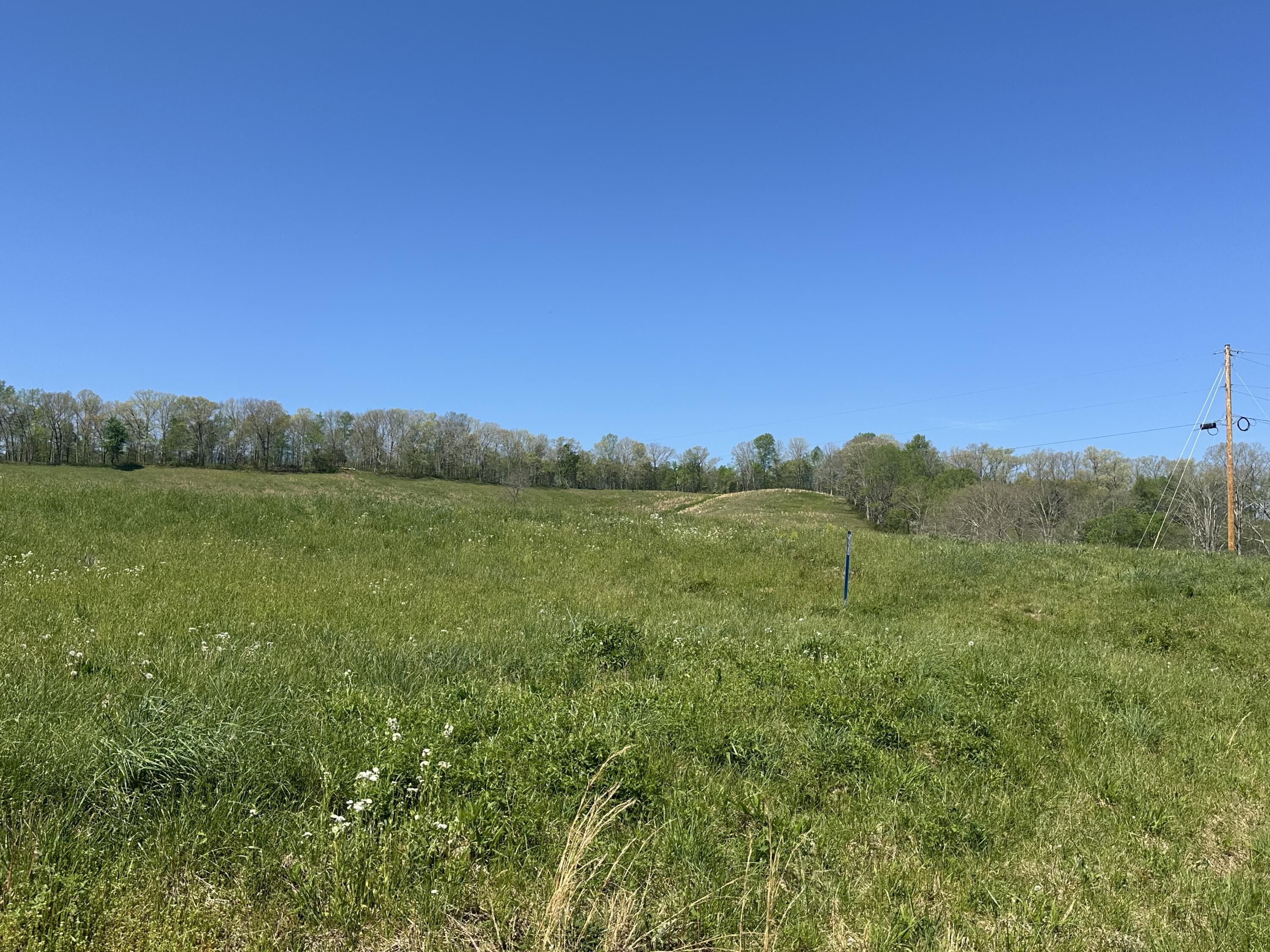 19 Coon Trail Tract 3 Property Photo 8