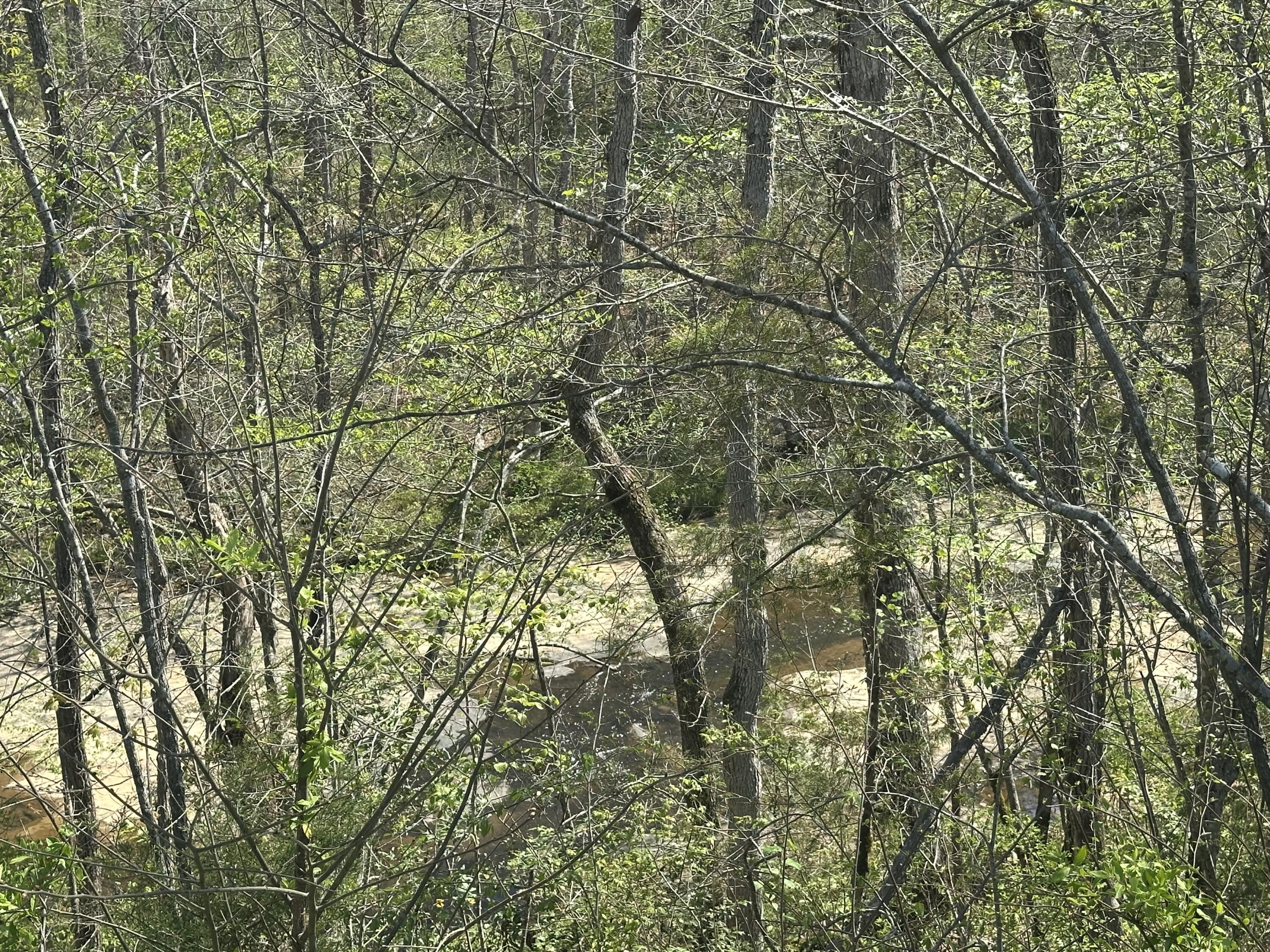 19 Coon Trail Tract 3 Property Photo 23