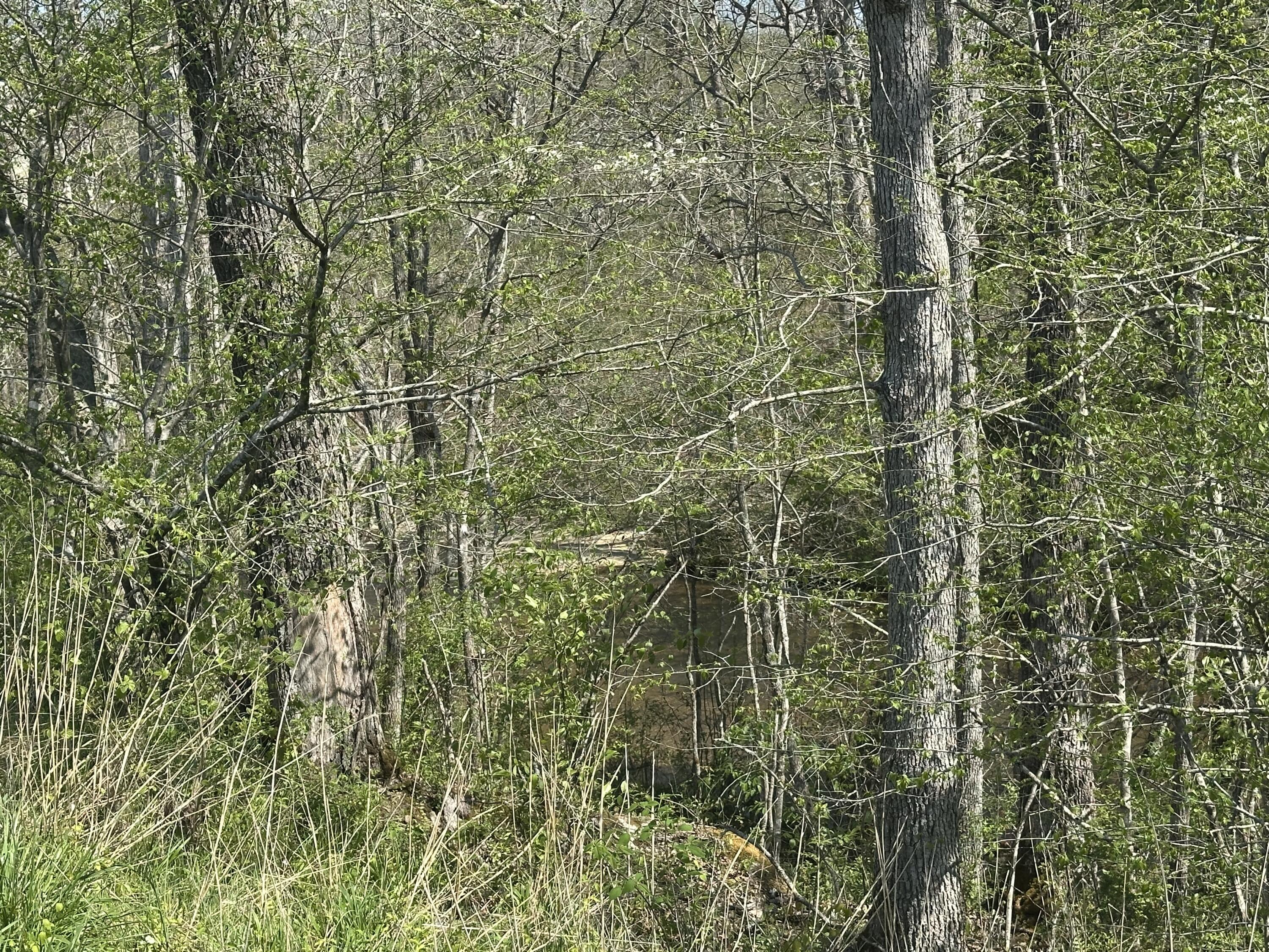 19 Coon Trail Tract 3 Property Photo 24