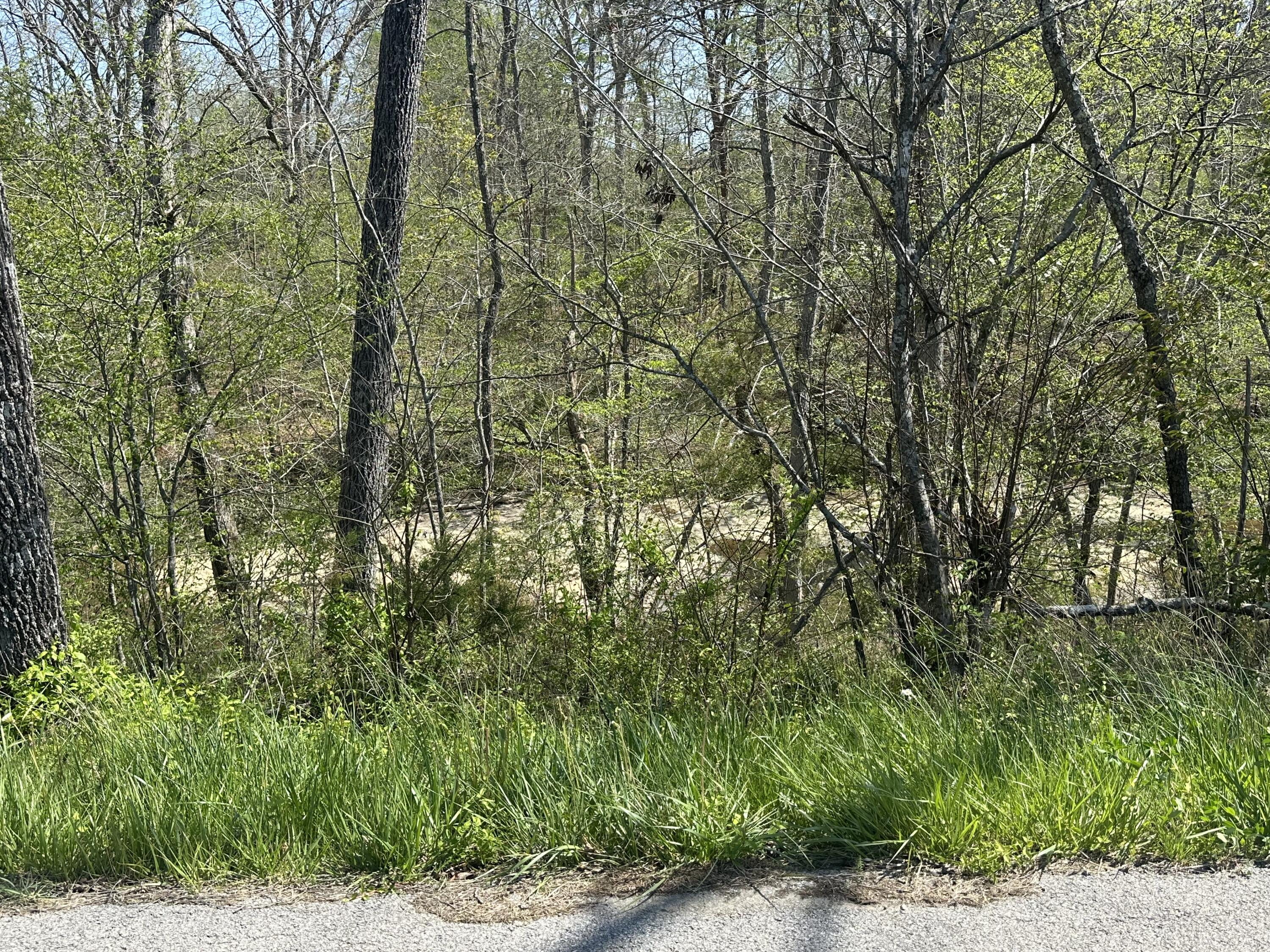 19 Coon Trail Tract 3 Property Photo 25