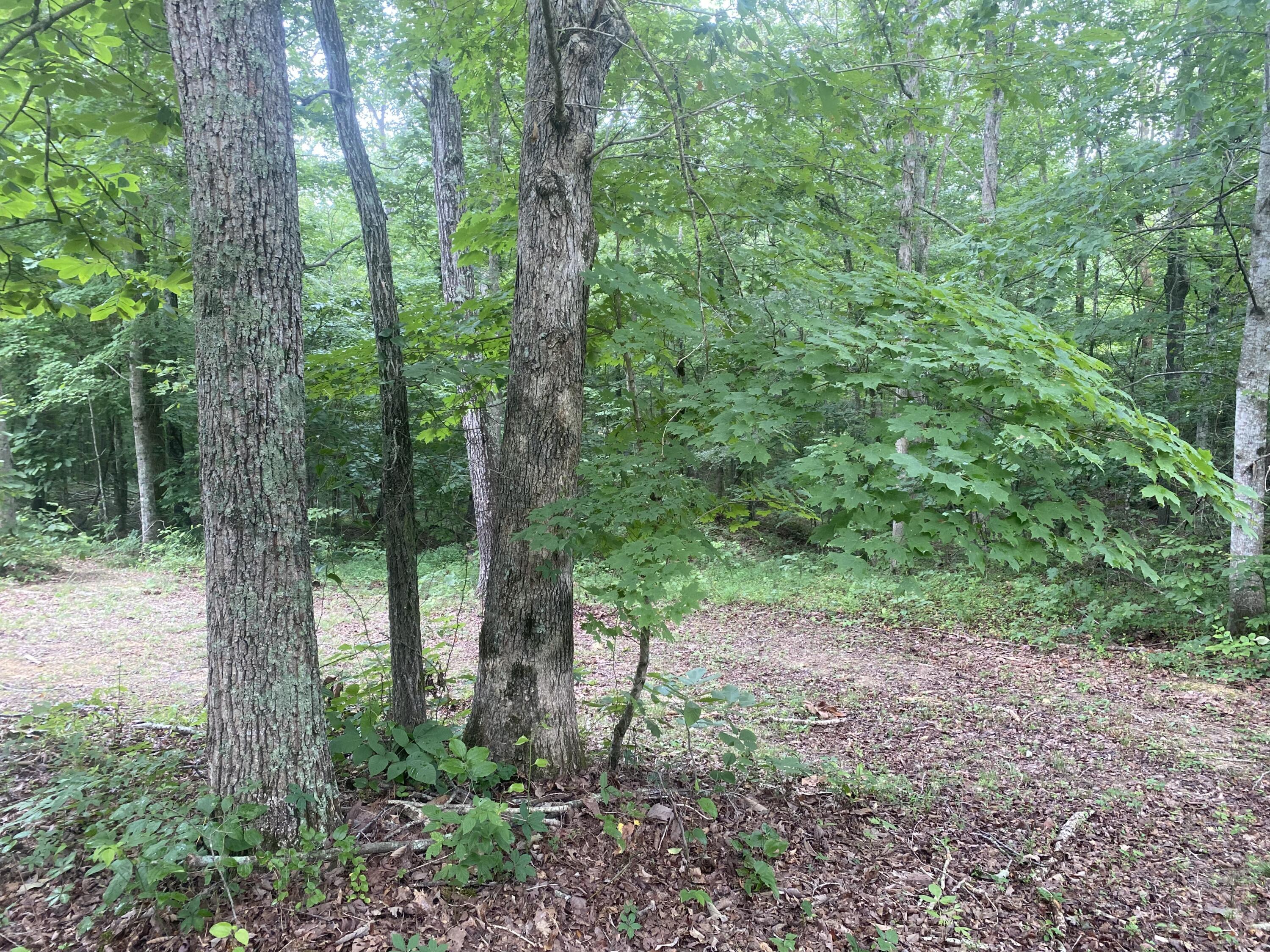 0 Broyles Lane 1 Property Photo 38