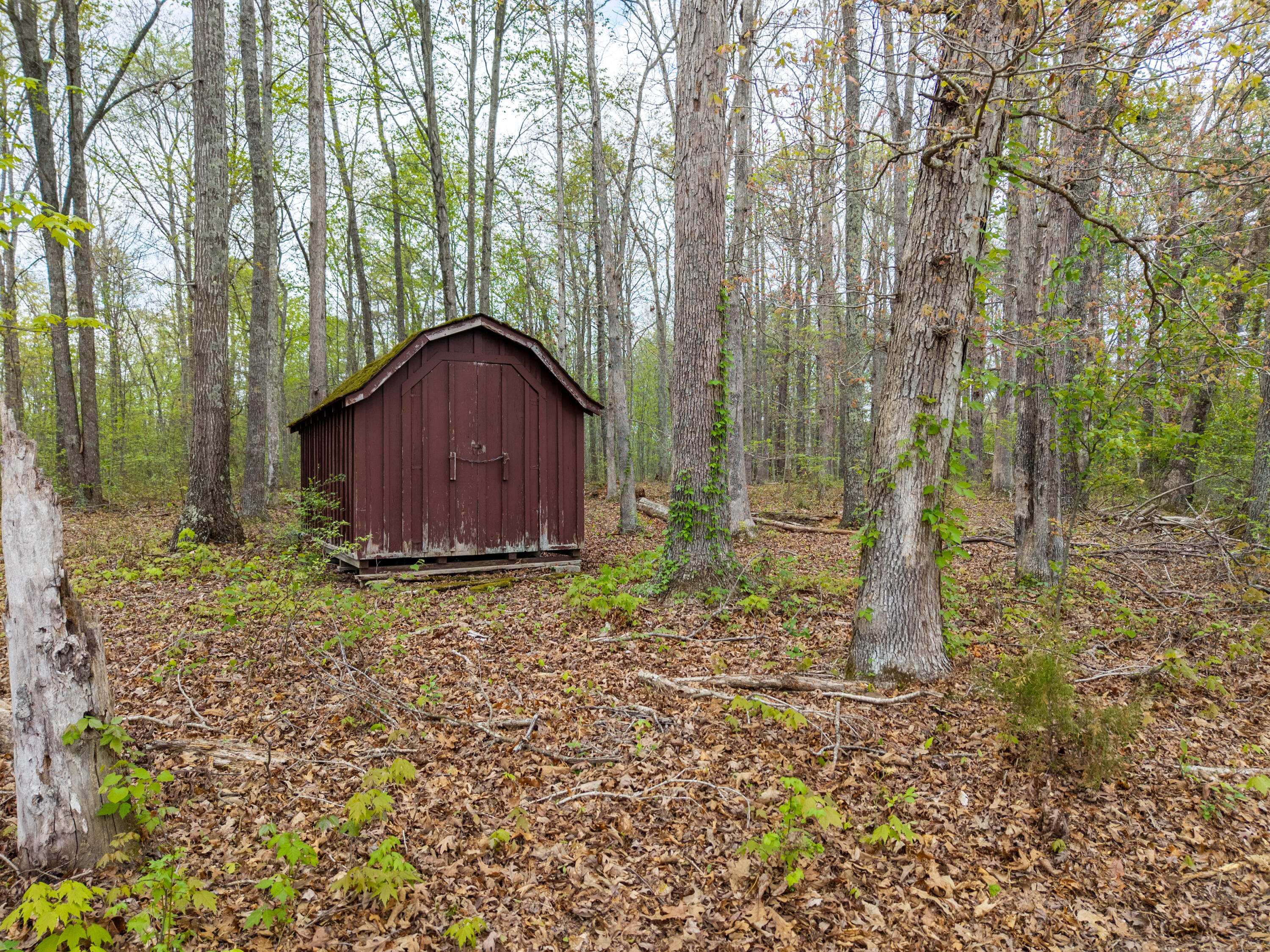 1805 Ky-801 North Property Photo 10