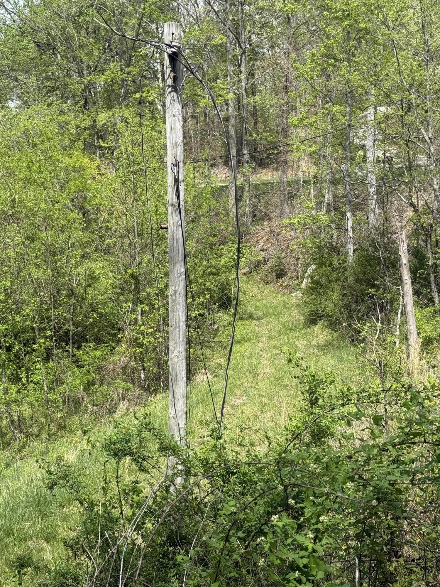1325 State Hwy 1036 Property Photo 6