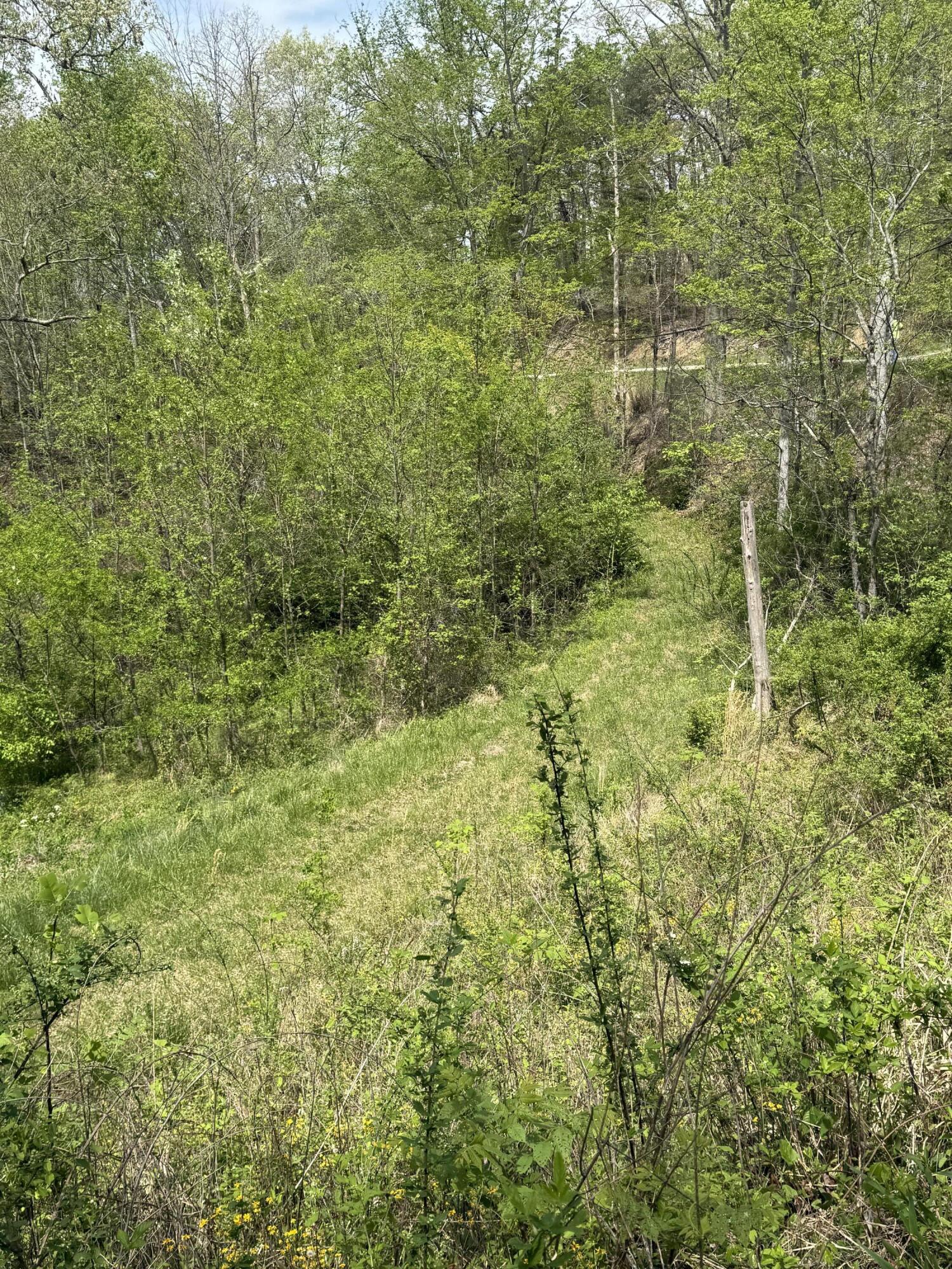 1325 State Hwy 1036 Property Photo 8