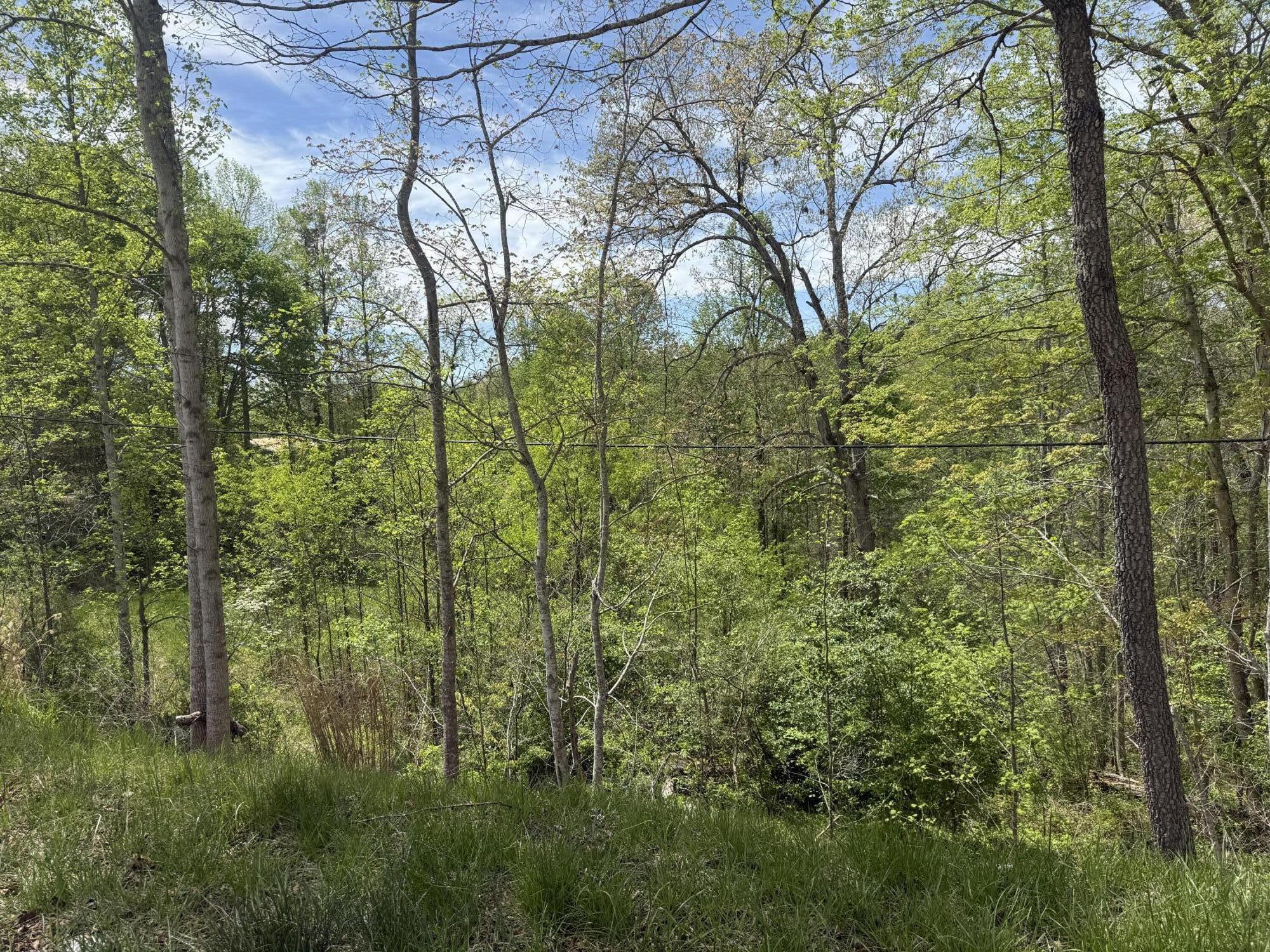 1325 State Hwy 1036 Property Photo 10
