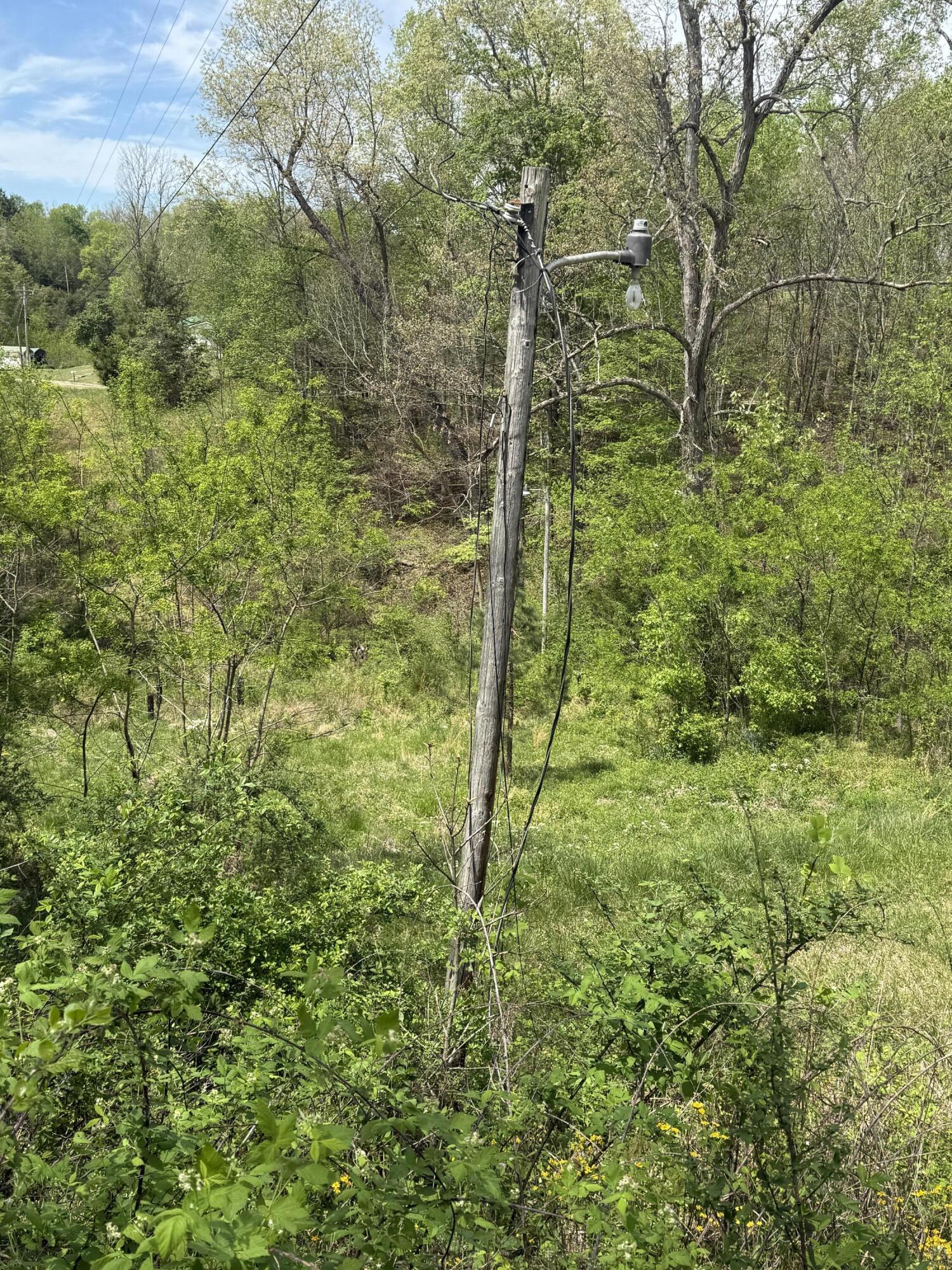 1325 State Hwy 1036 Property Photo 15