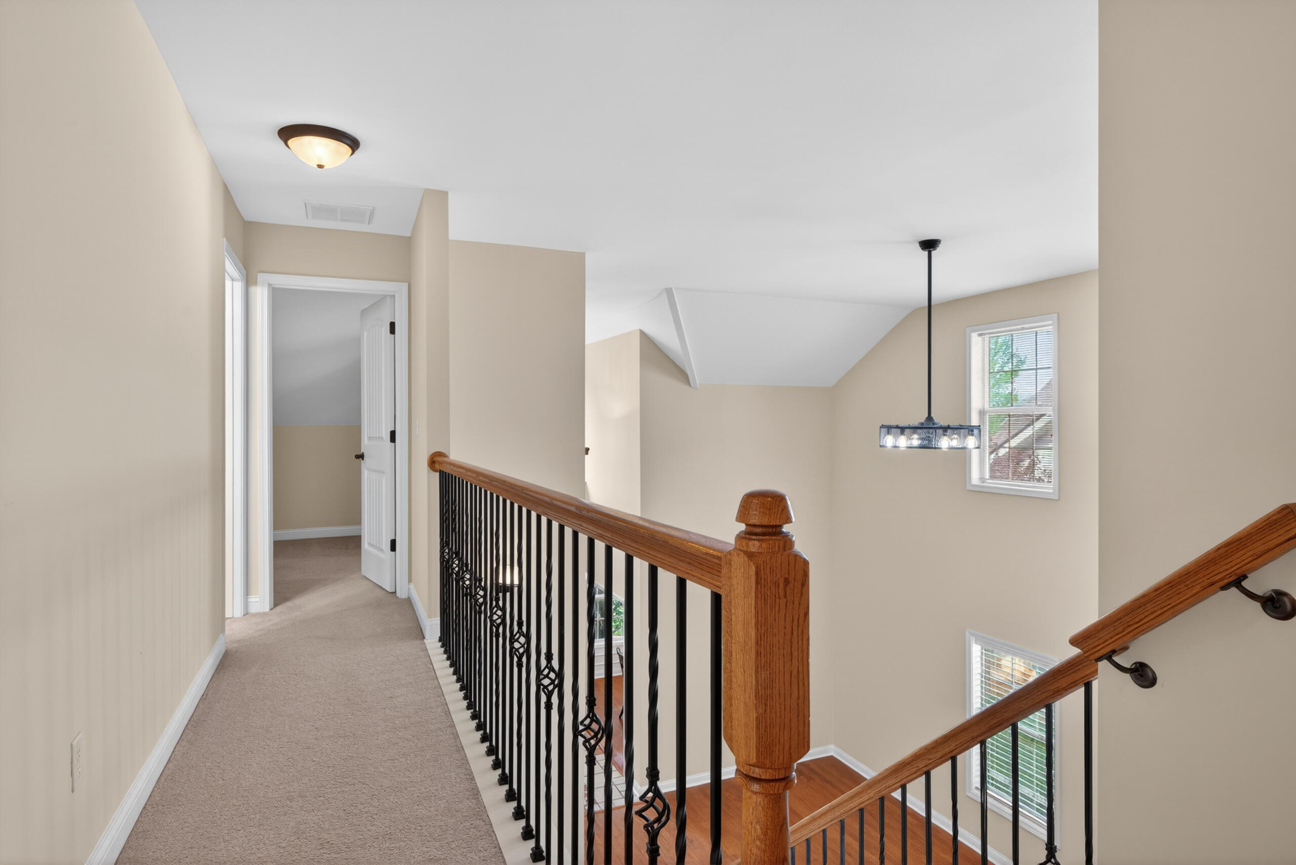 3373 Hibernia Pass Property Photo 24