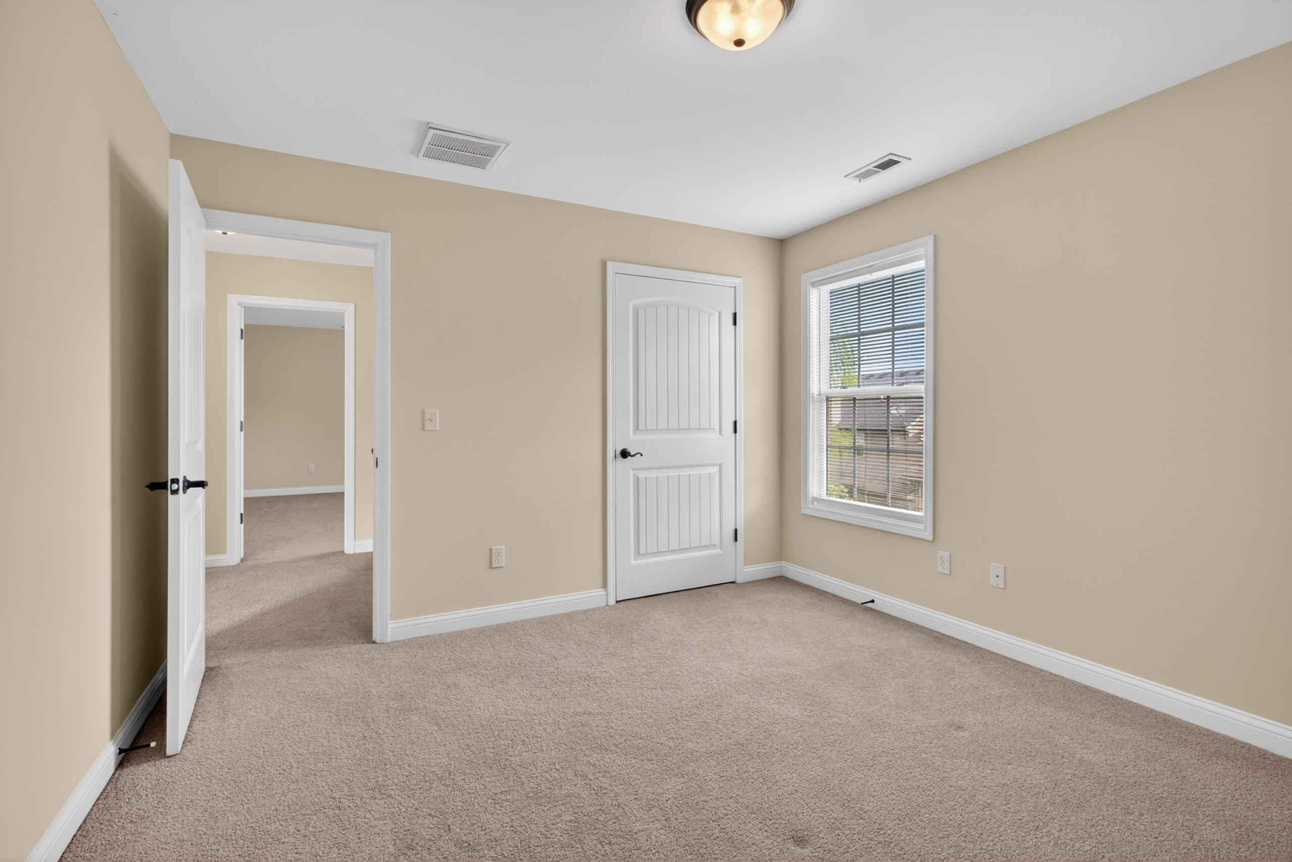 3373 Hibernia Pass Property Photo 28