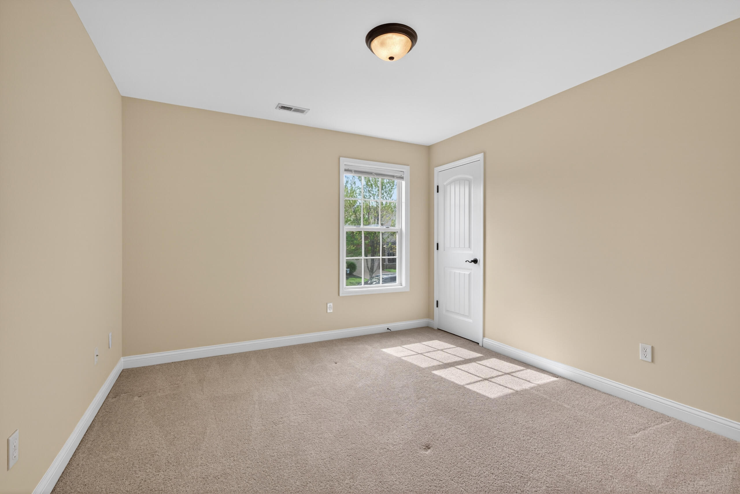 3373 Hibernia Pass Property Photo 29