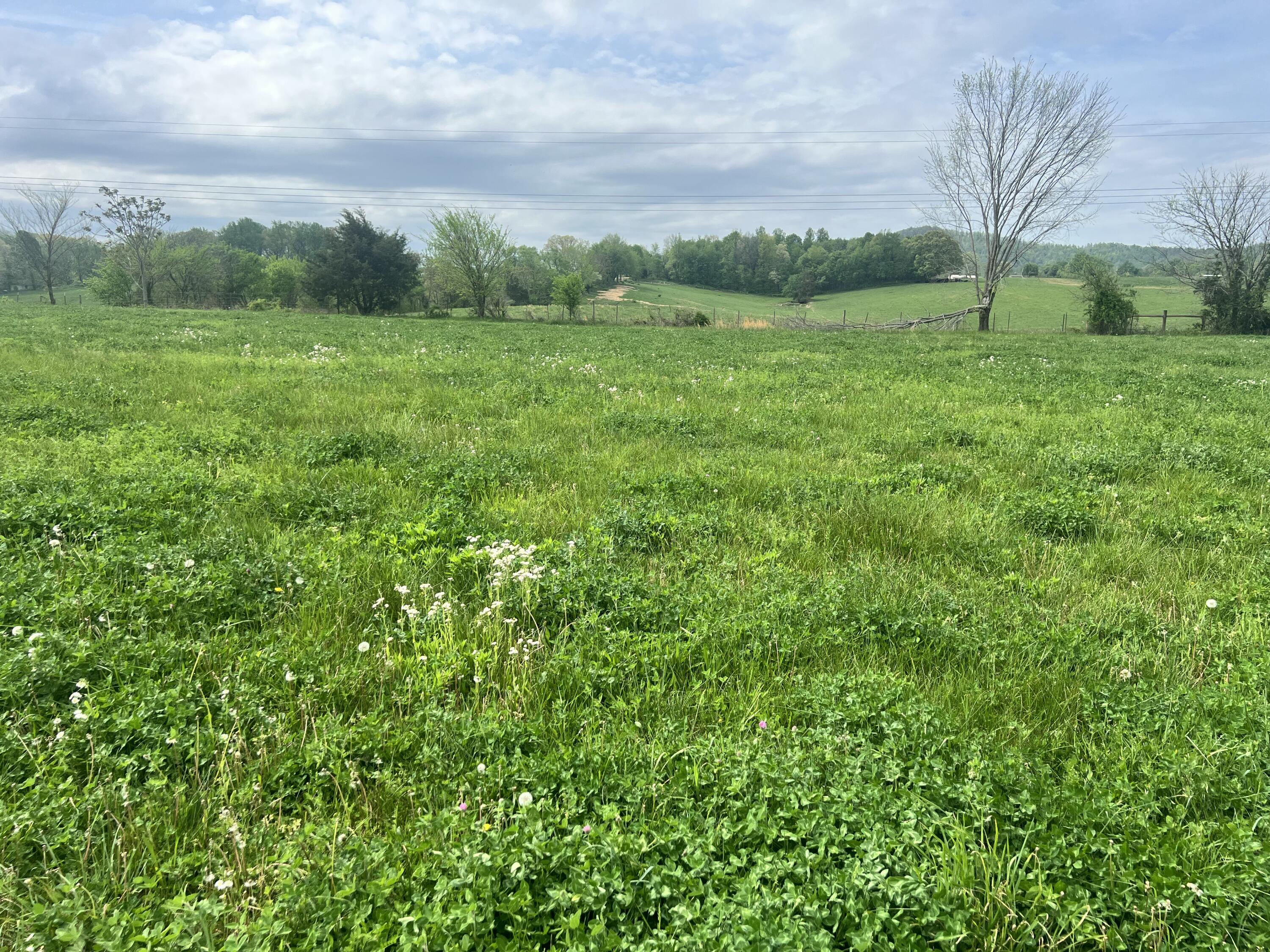 906 Denney Road Lot 16 Property Photo 5
