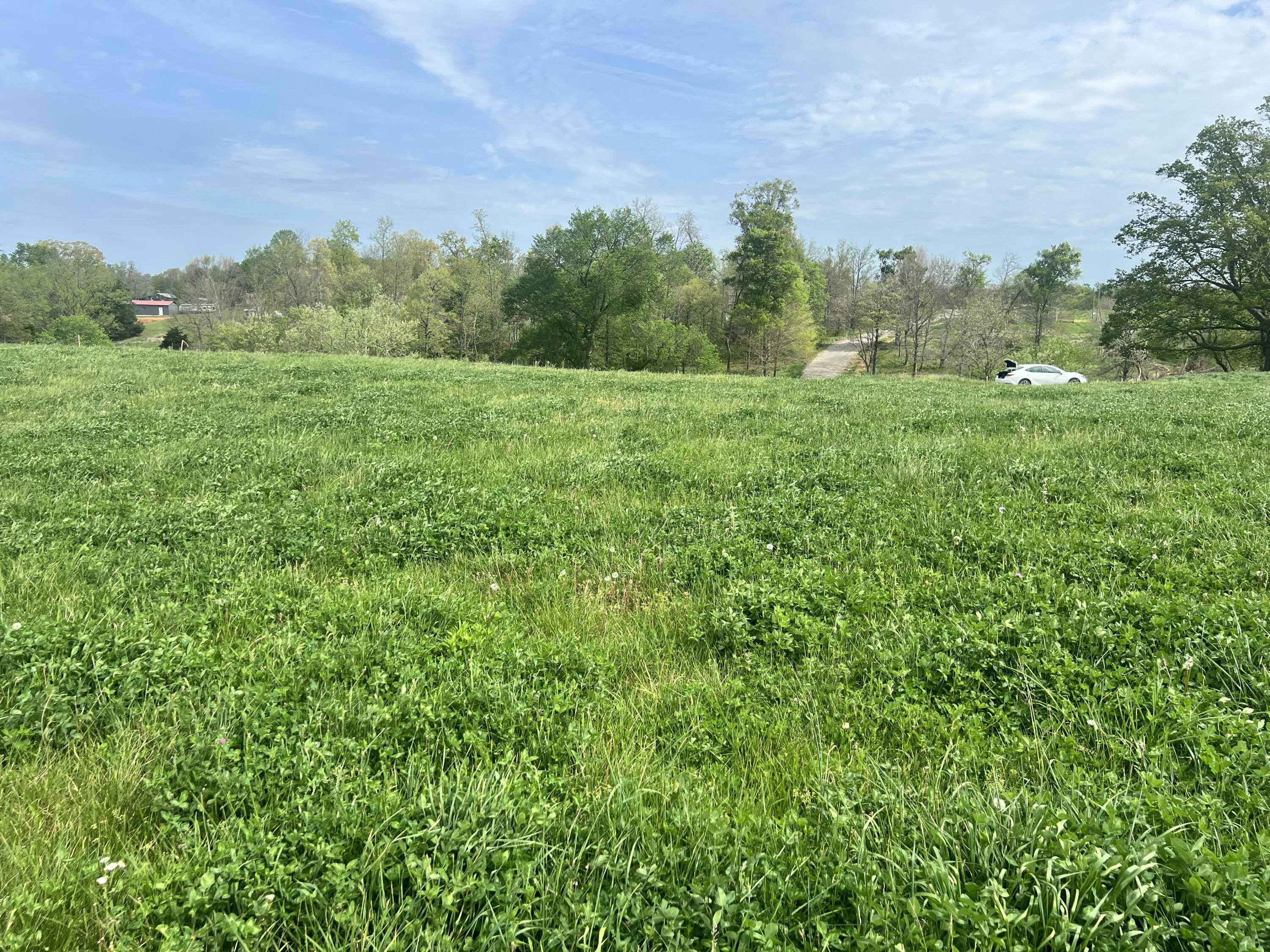 906 Denney Road Lot 16 Property Photo 6