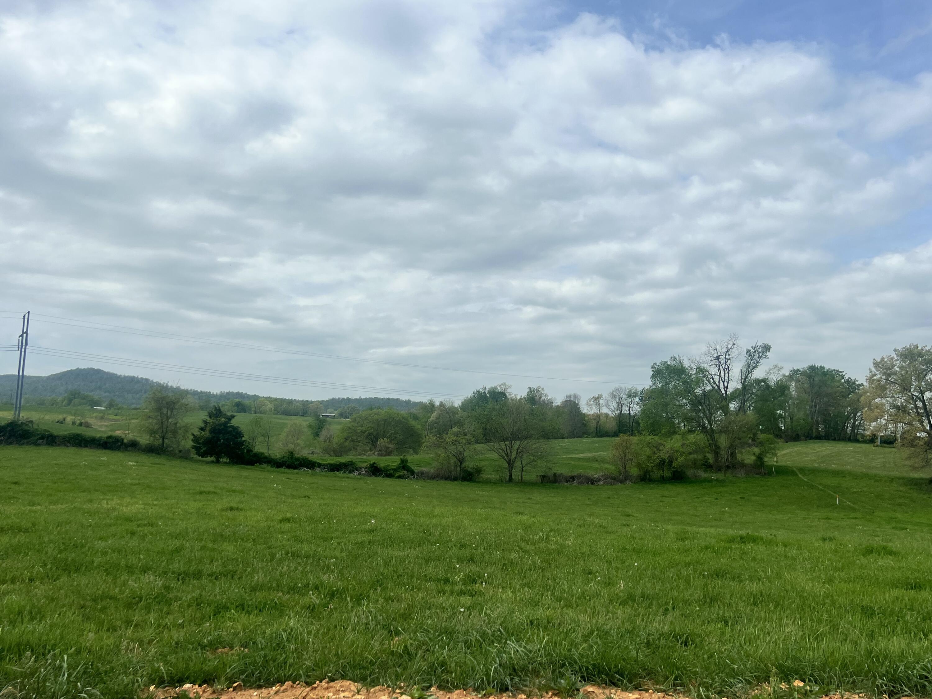 906 Denney Road Lot 17 Property Photo 6